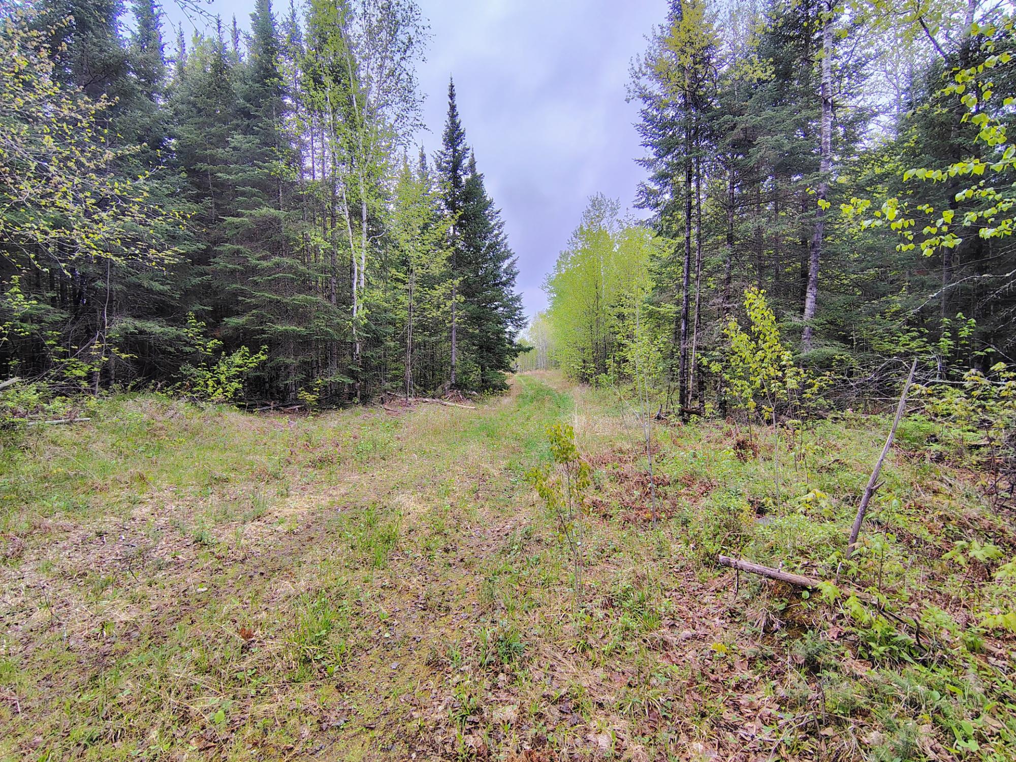 N16672 HOFFMAN LAKE RD