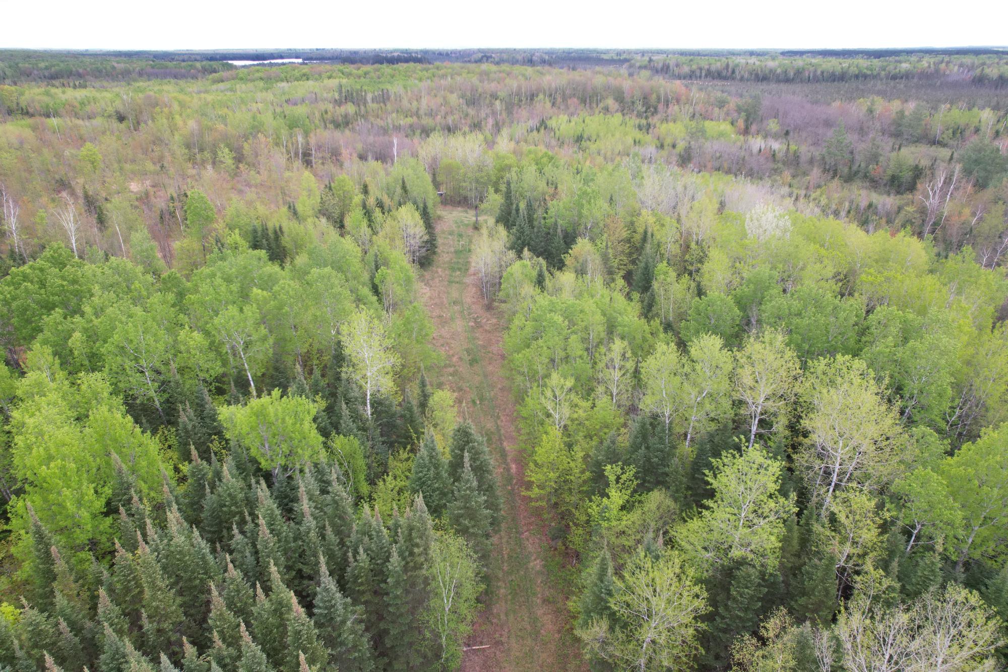 N16672 HOFFMAN LAKE RD