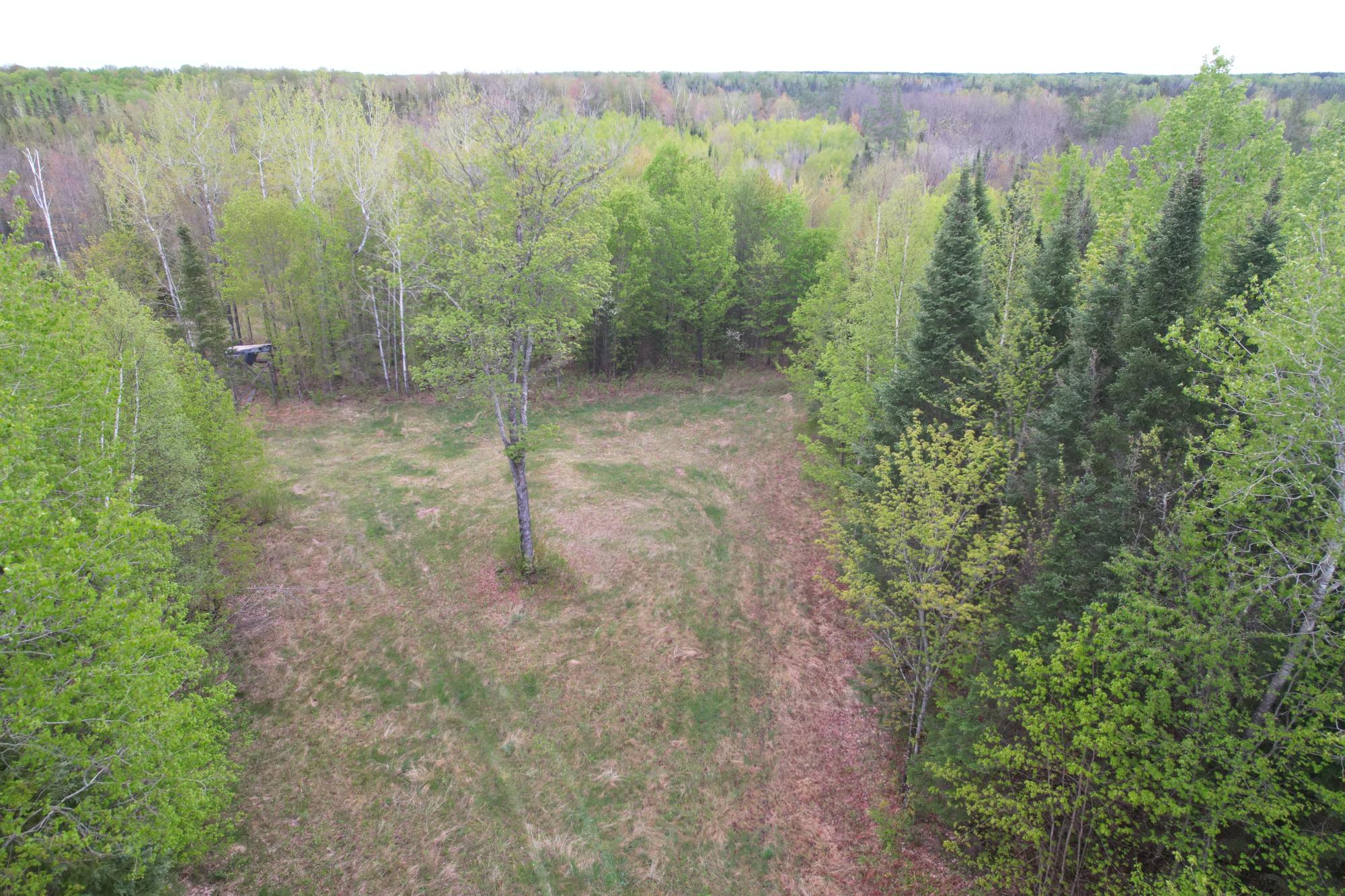 N16672 HOFFMAN LAKE RD