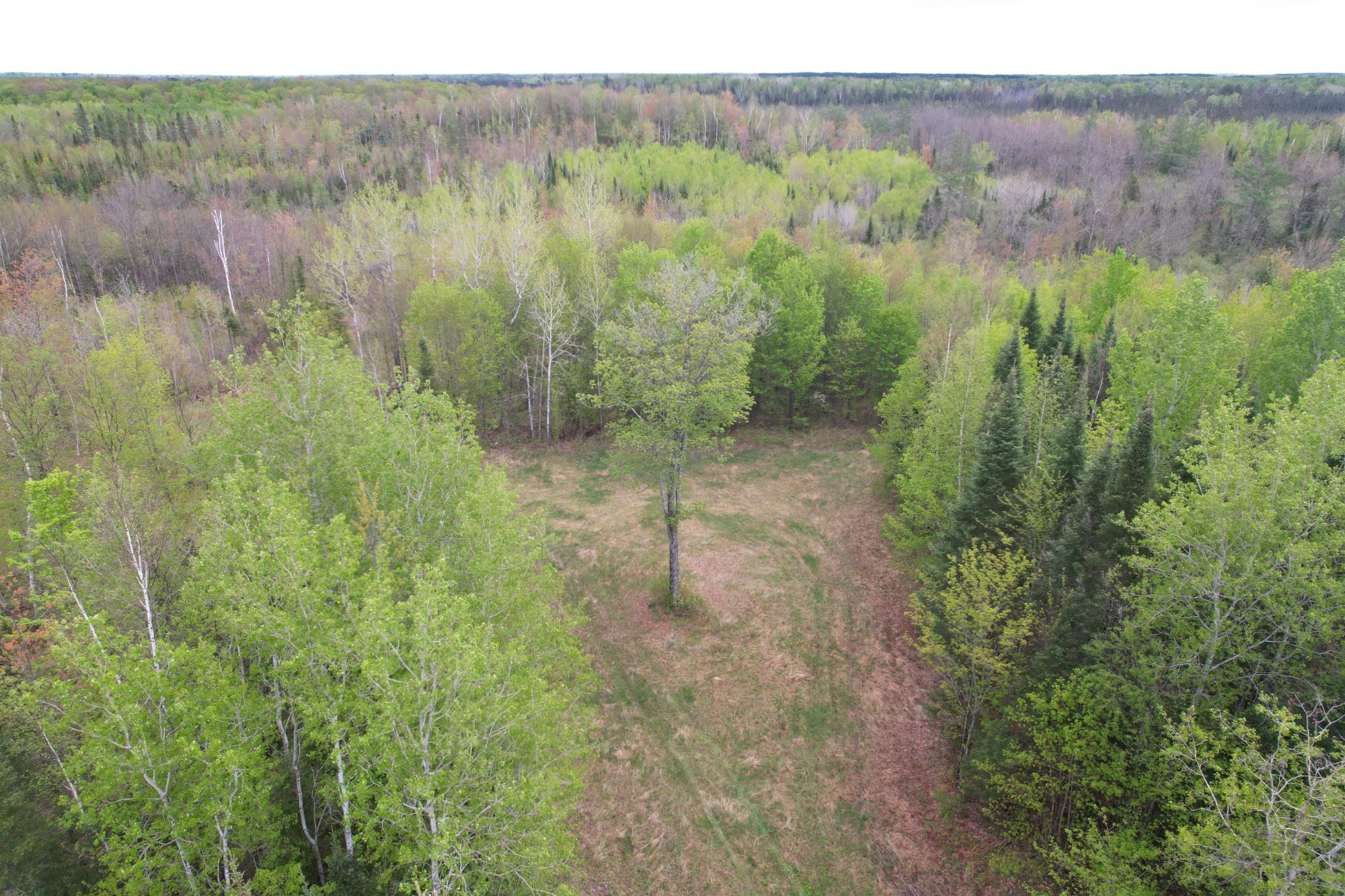 N16672 HOFFMAN LAKE RD