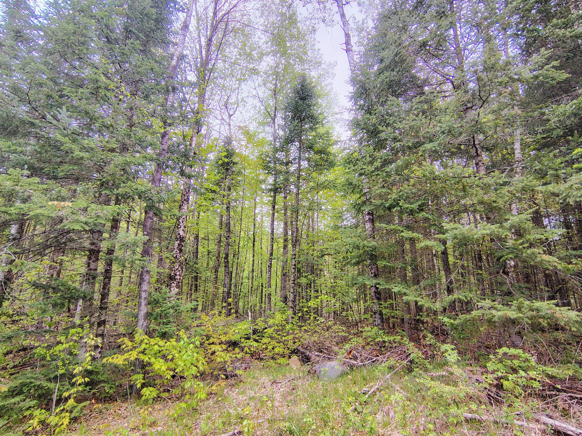 N16672 HOFFMAN LAKE RD