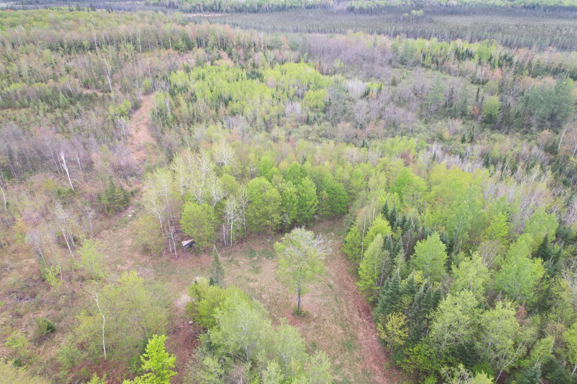 N16672 HOFFMAN LAKE RD