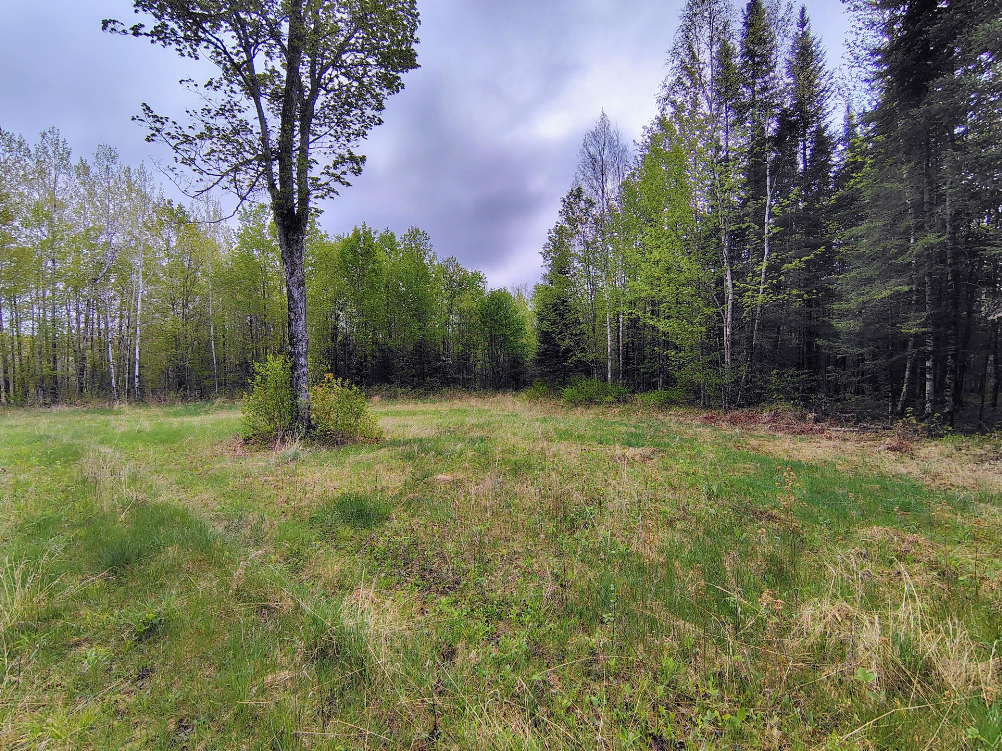 N16672 HOFFMAN LAKE RD
