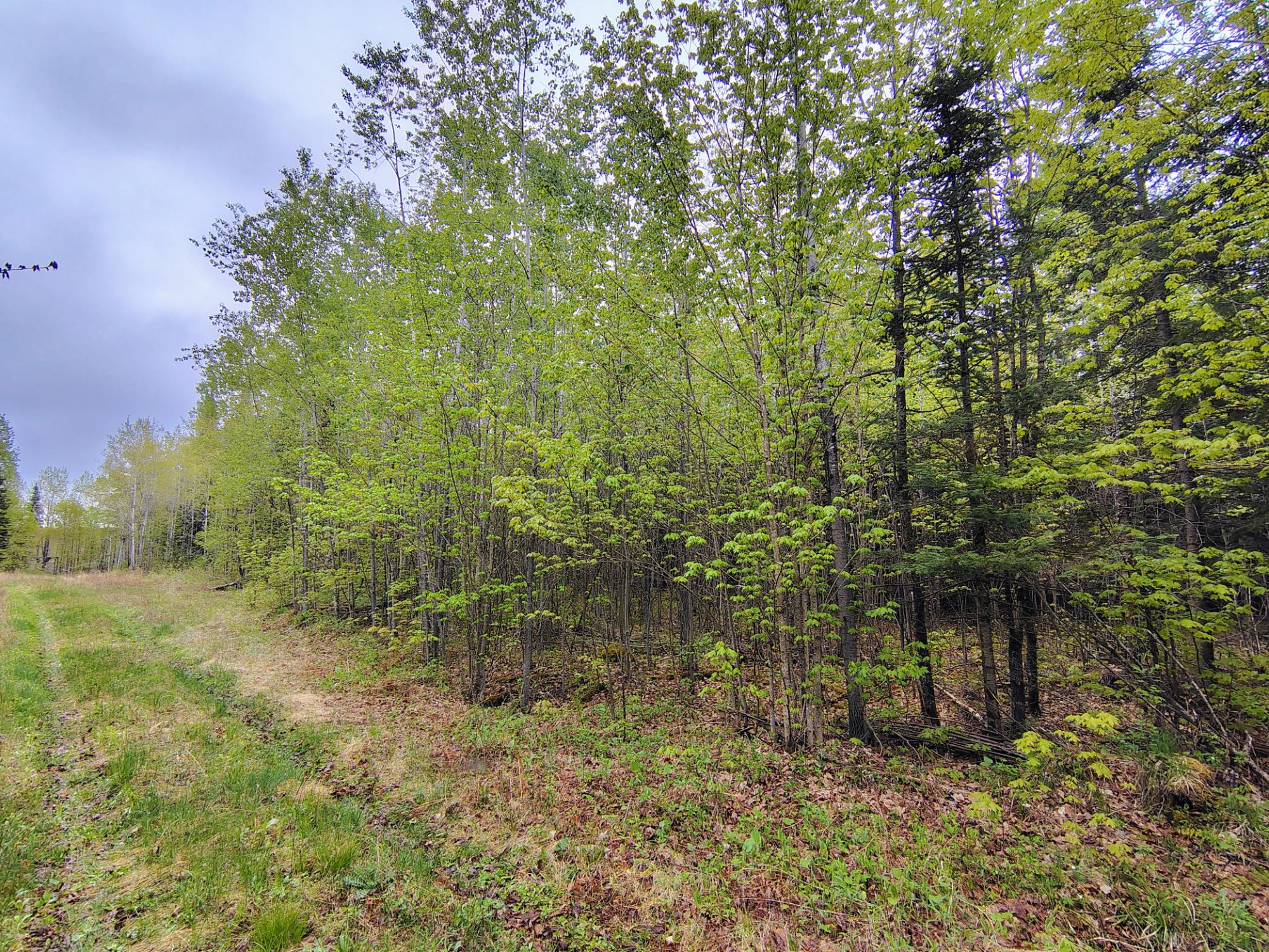 N16672 HOFFMAN LAKE RD