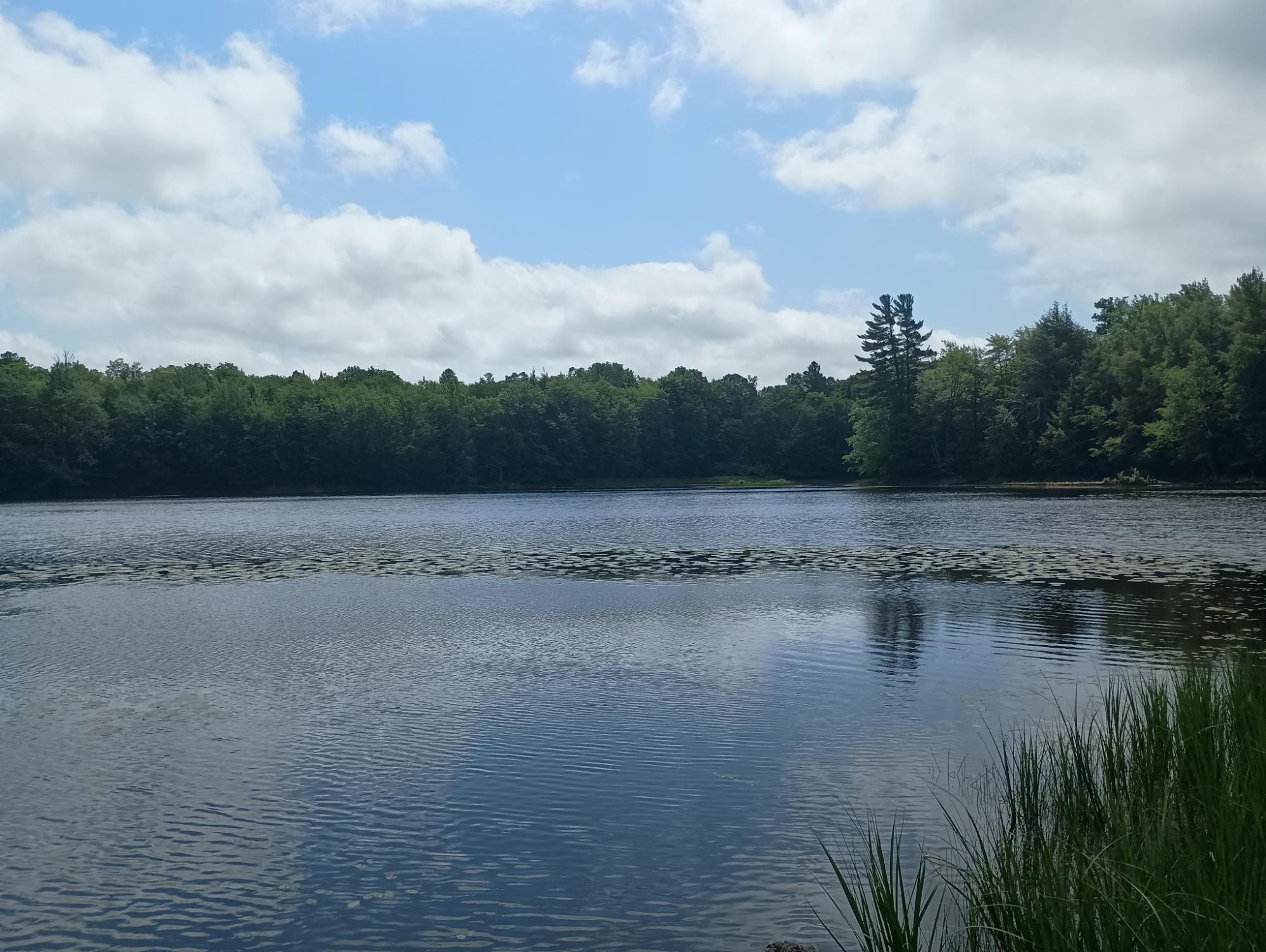 ON CAMP K RD 76.95 ac