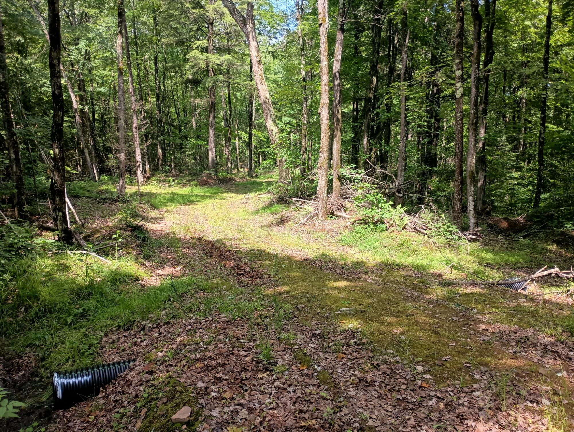 ON CAMP K RD 76.95 ac