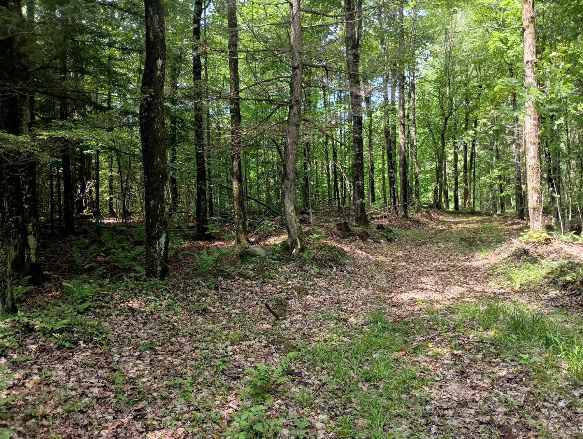 ON CAMP K RD 76.95 ac