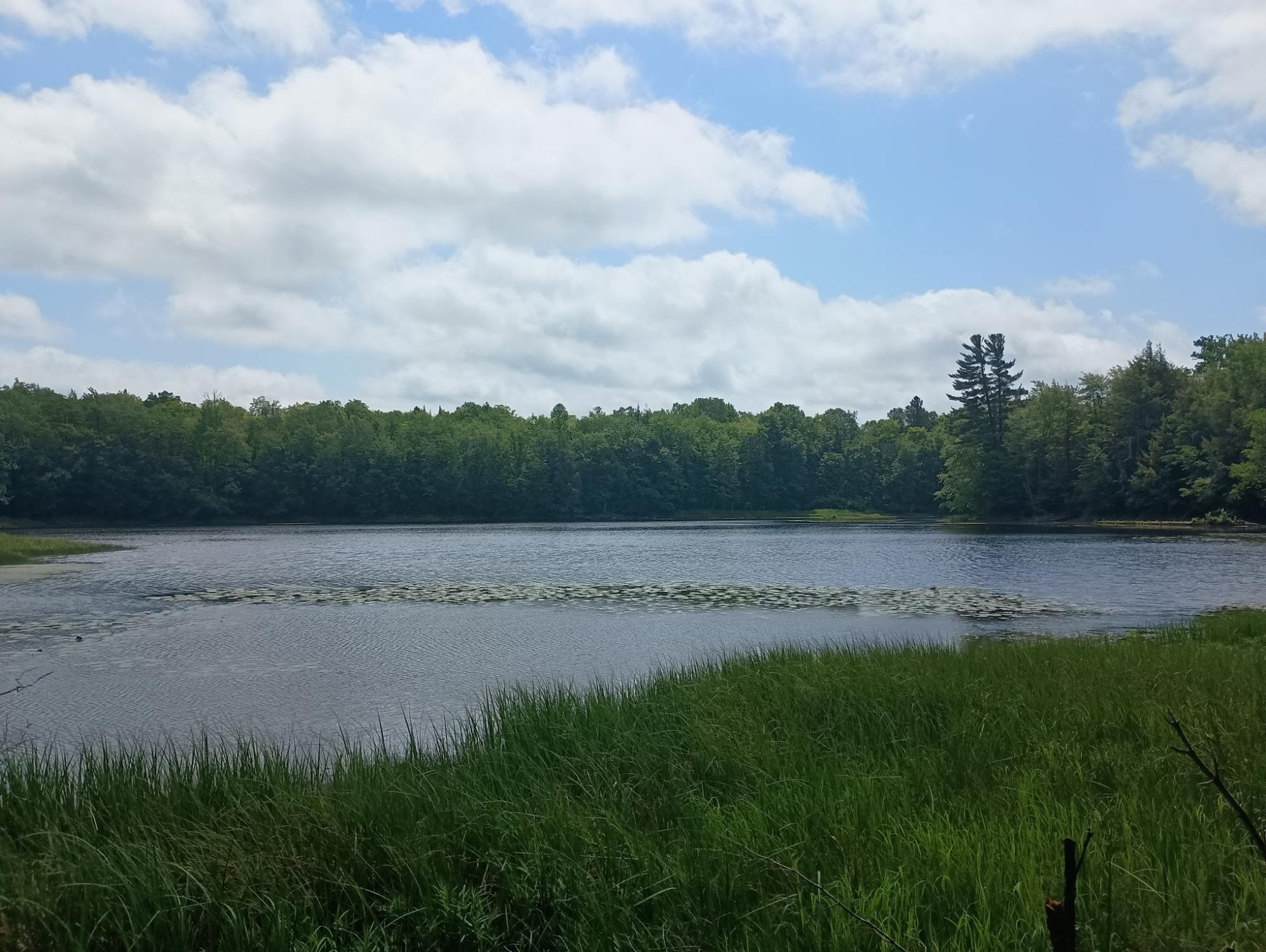 ON CAMP K RD 76.95 ac