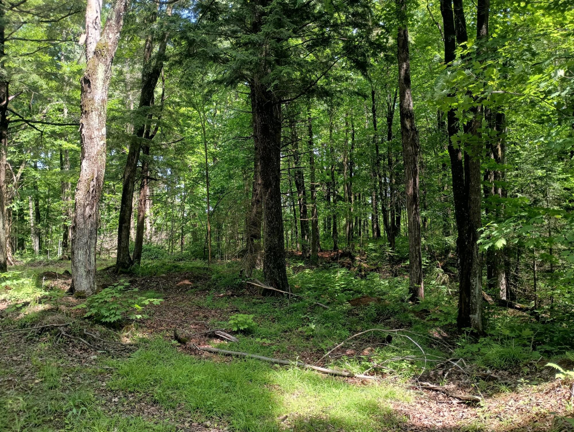 ON CAMP K RD 76.95 ac