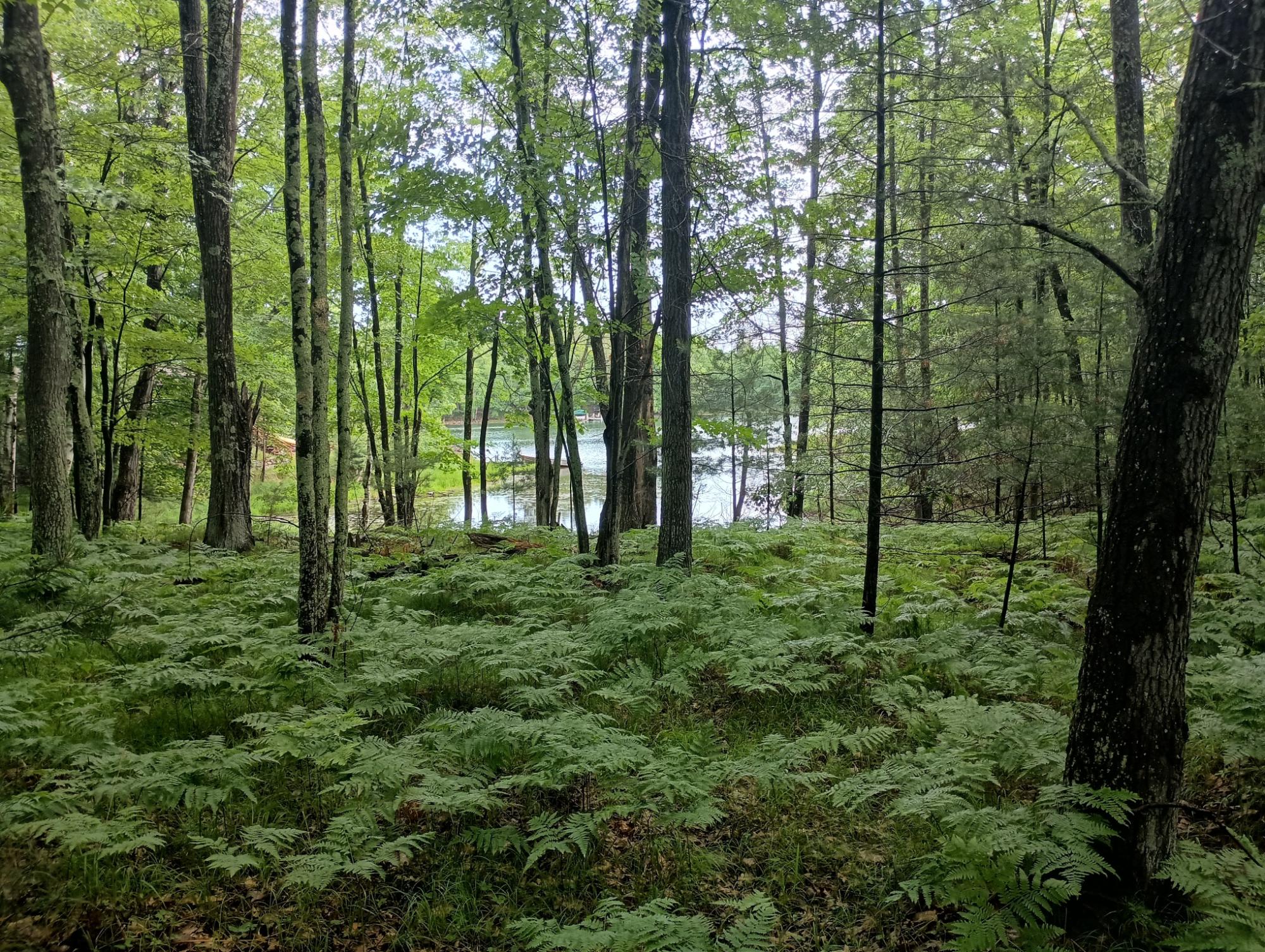 ON HIXON RD 21.94 AC