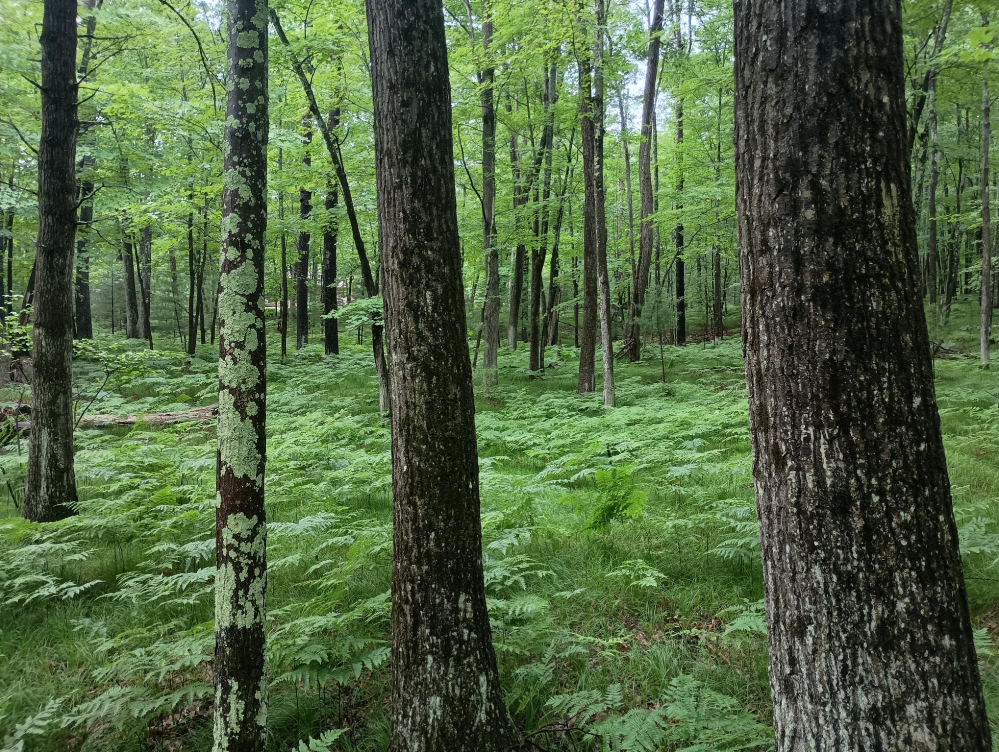 ON HIXON RD 21.94 AC