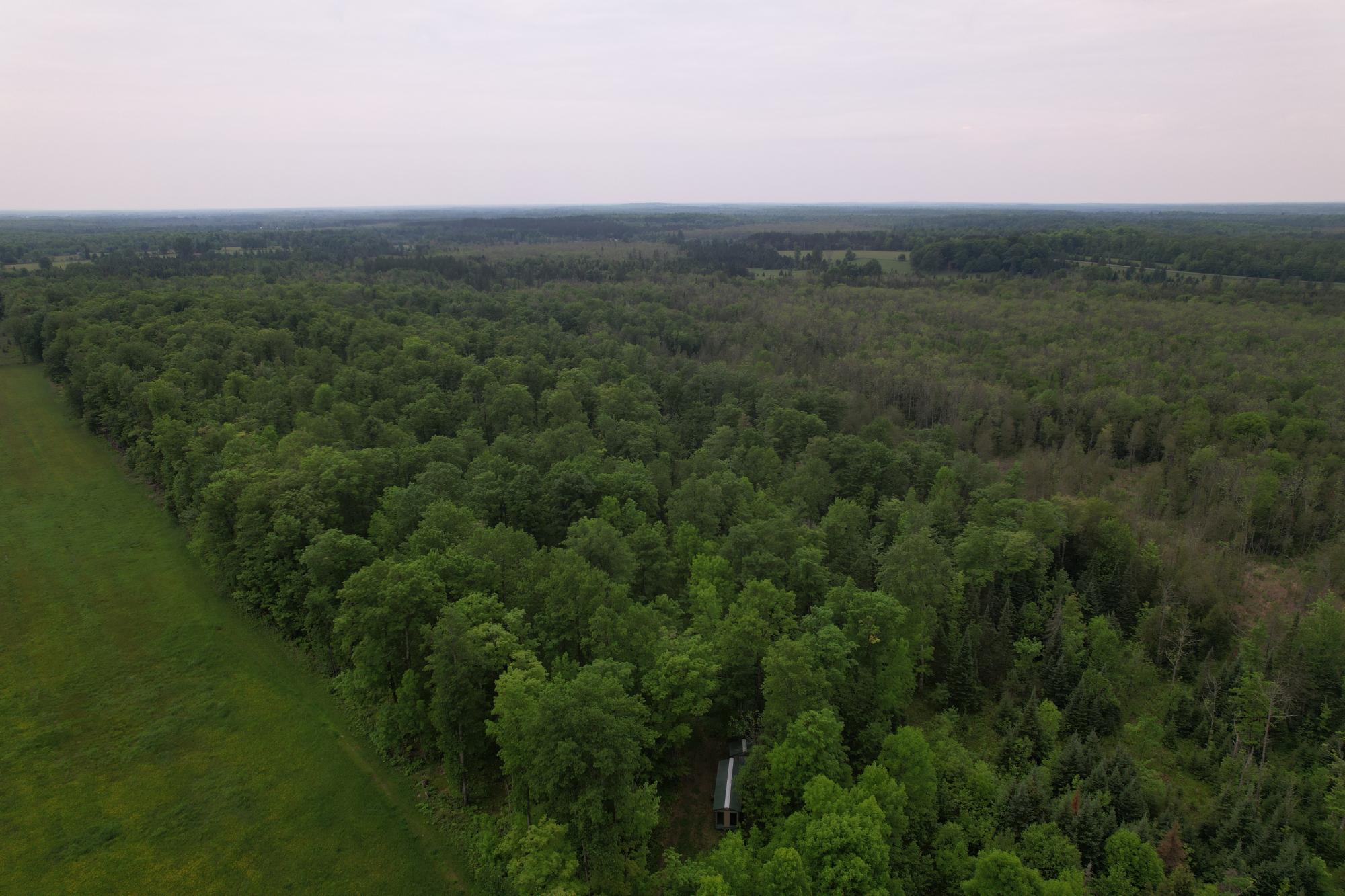 Off CREAMERY RD 40 acres