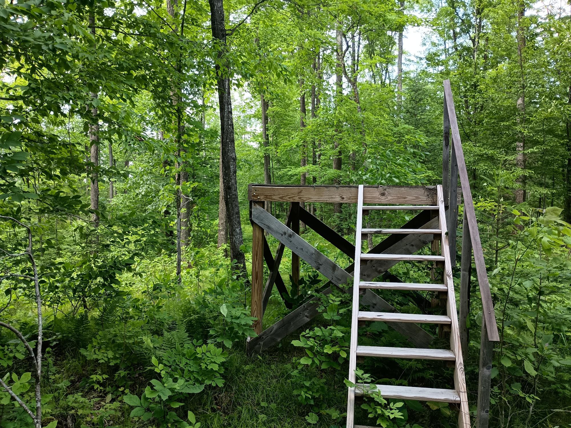 Off CREAMERY RD 40 acres