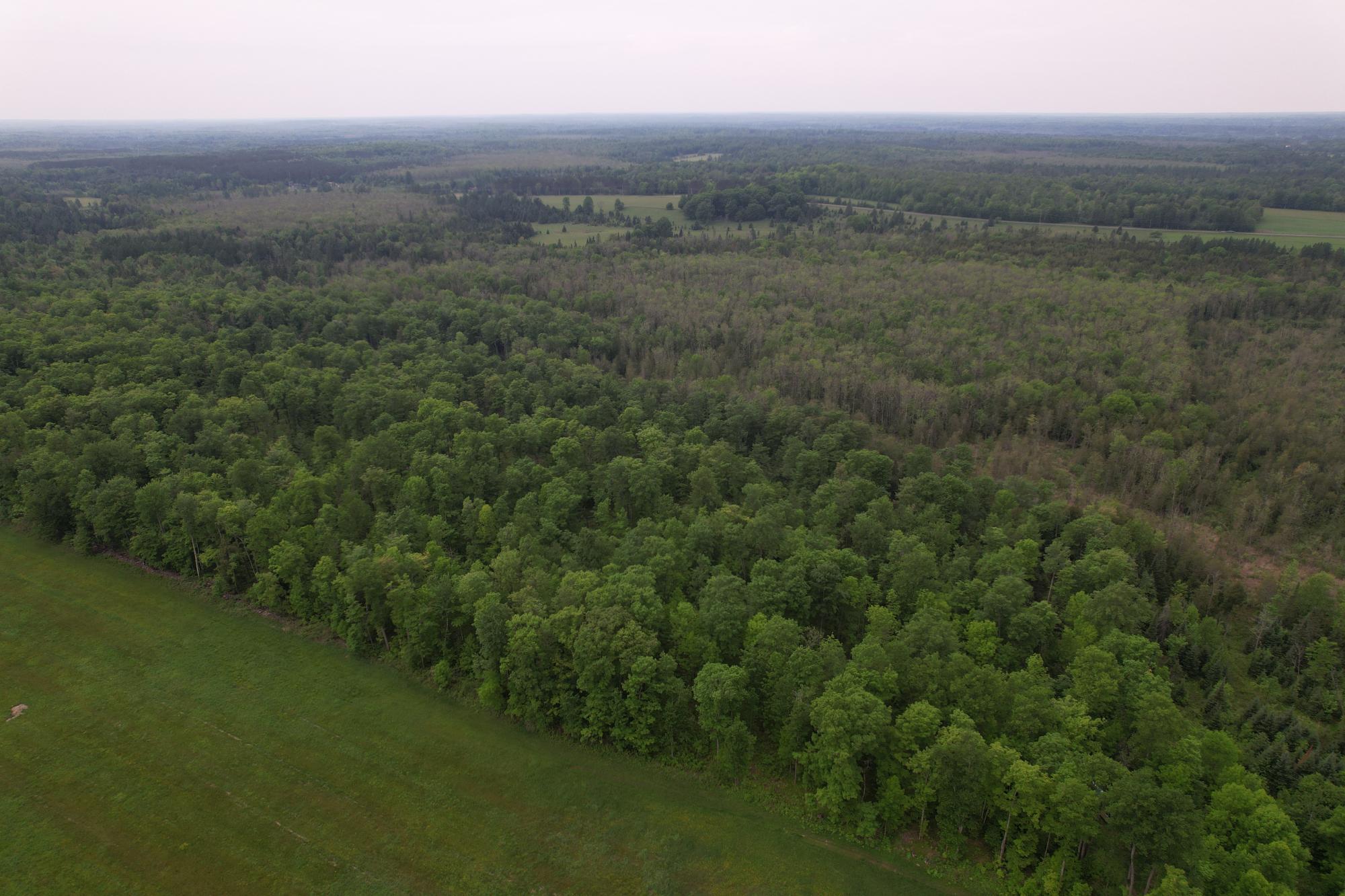 Off CREAMERY RD 40 acres