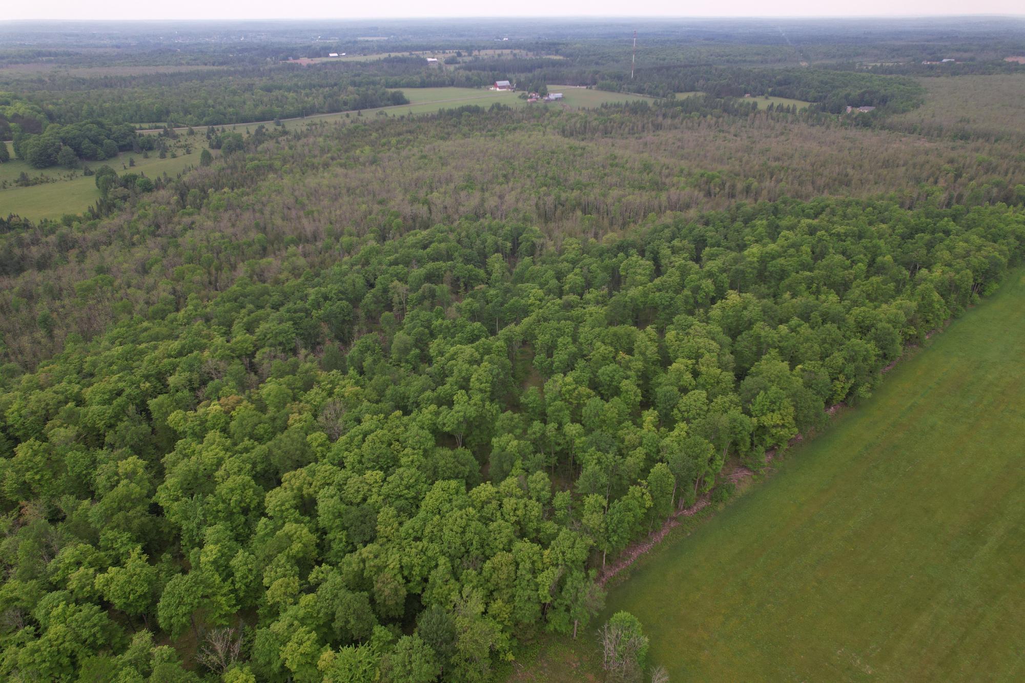 Off CREAMERY RD 40 acres