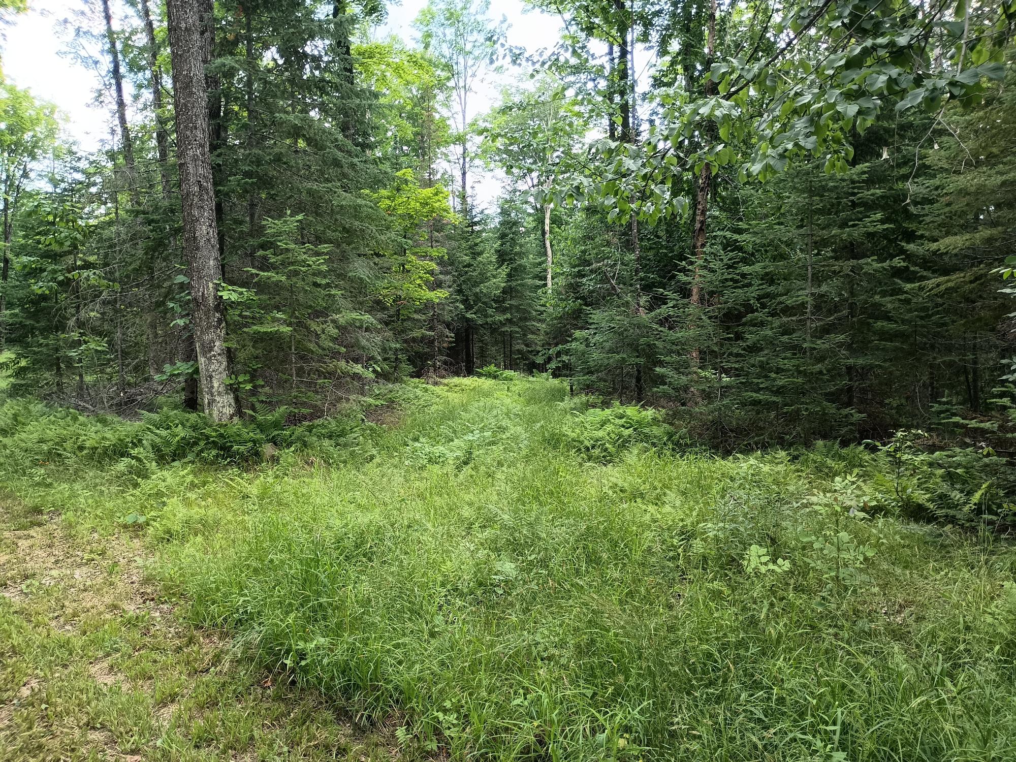 Off CREAMERY RD 40 acres