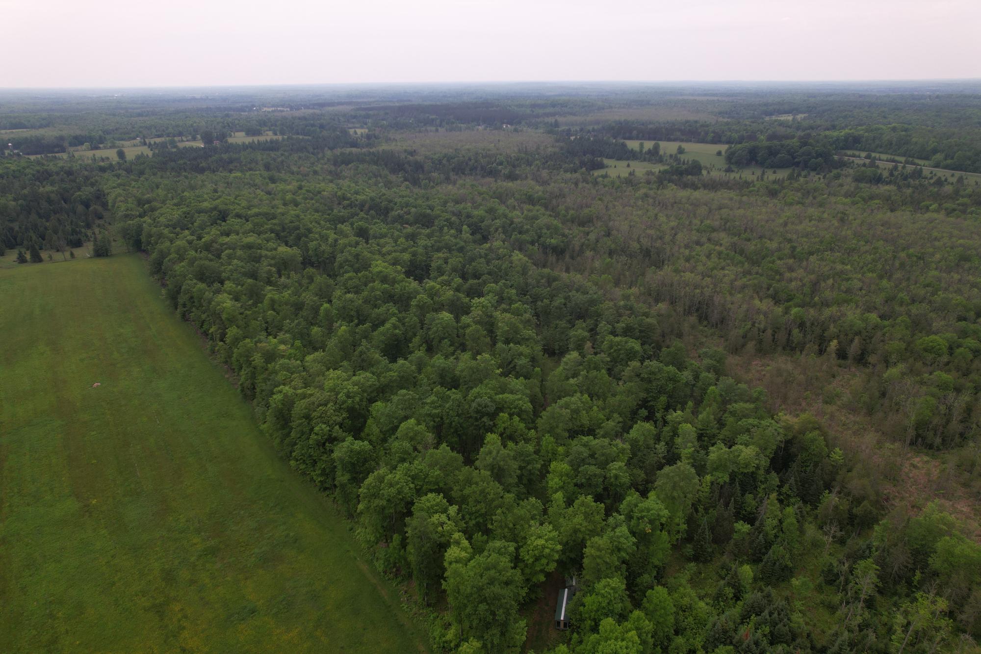 Off CREAMERY RD 40 acres