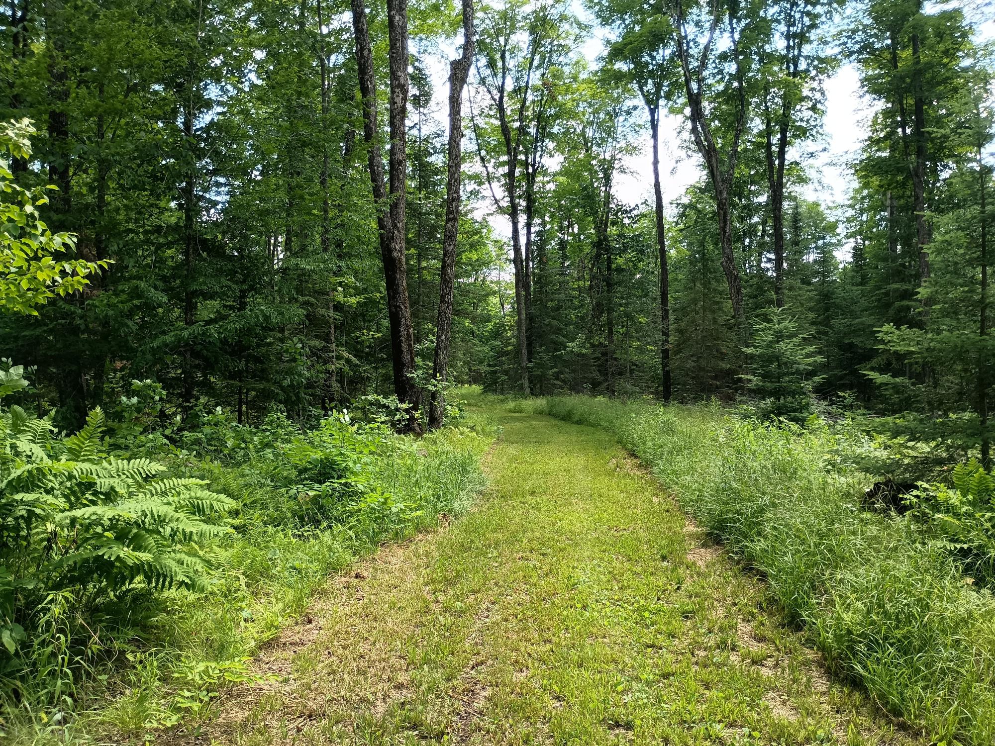 Off CREAMERY RD 40 acres