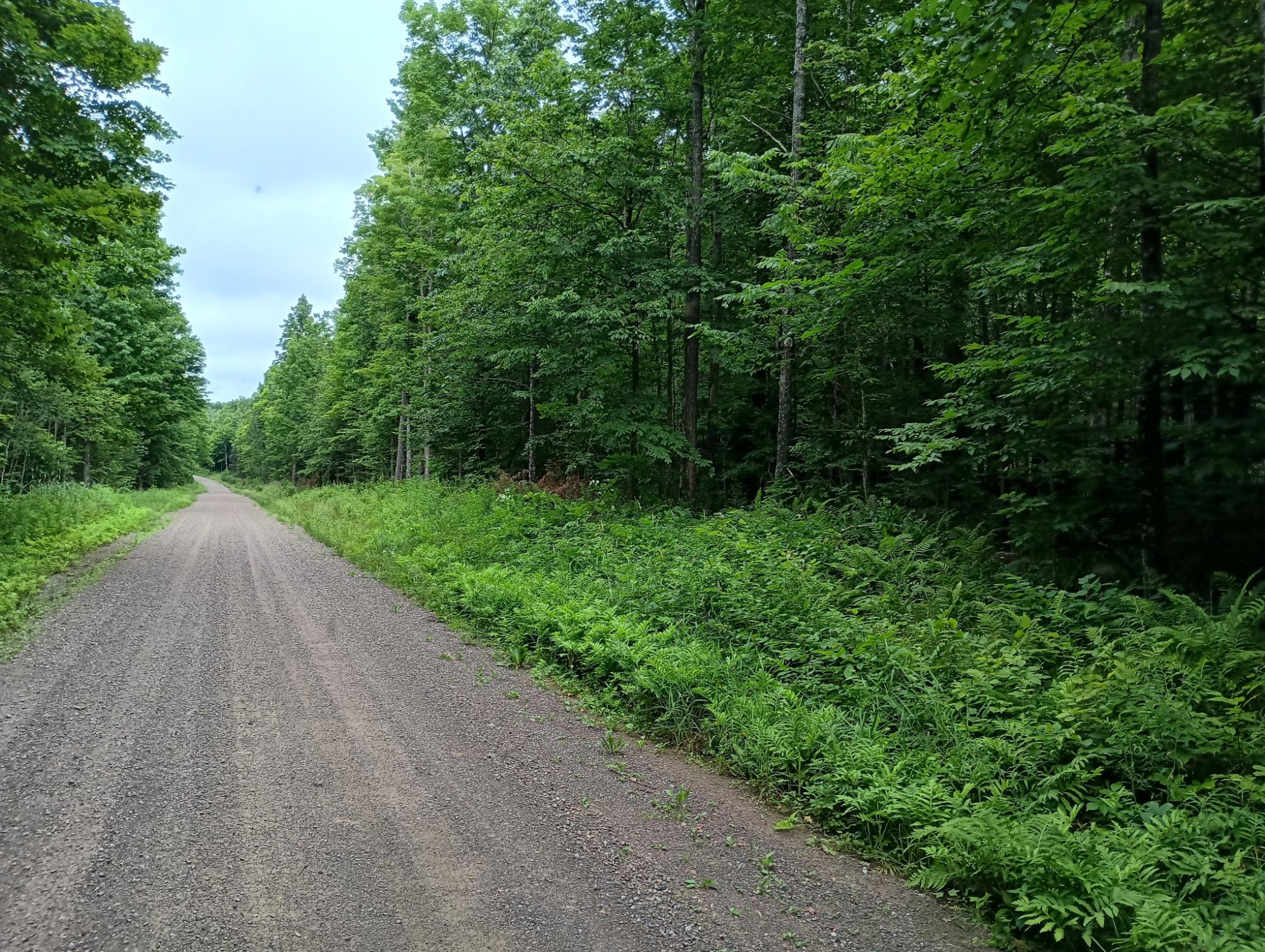 ON GRIFFITH RD 30 ac