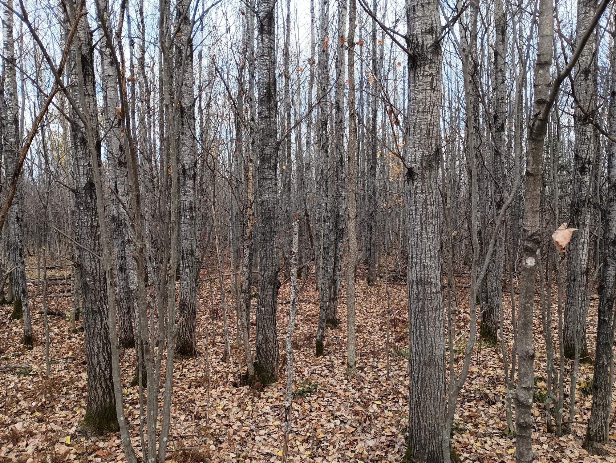 ON RIGHT OF WAY RD 20AC