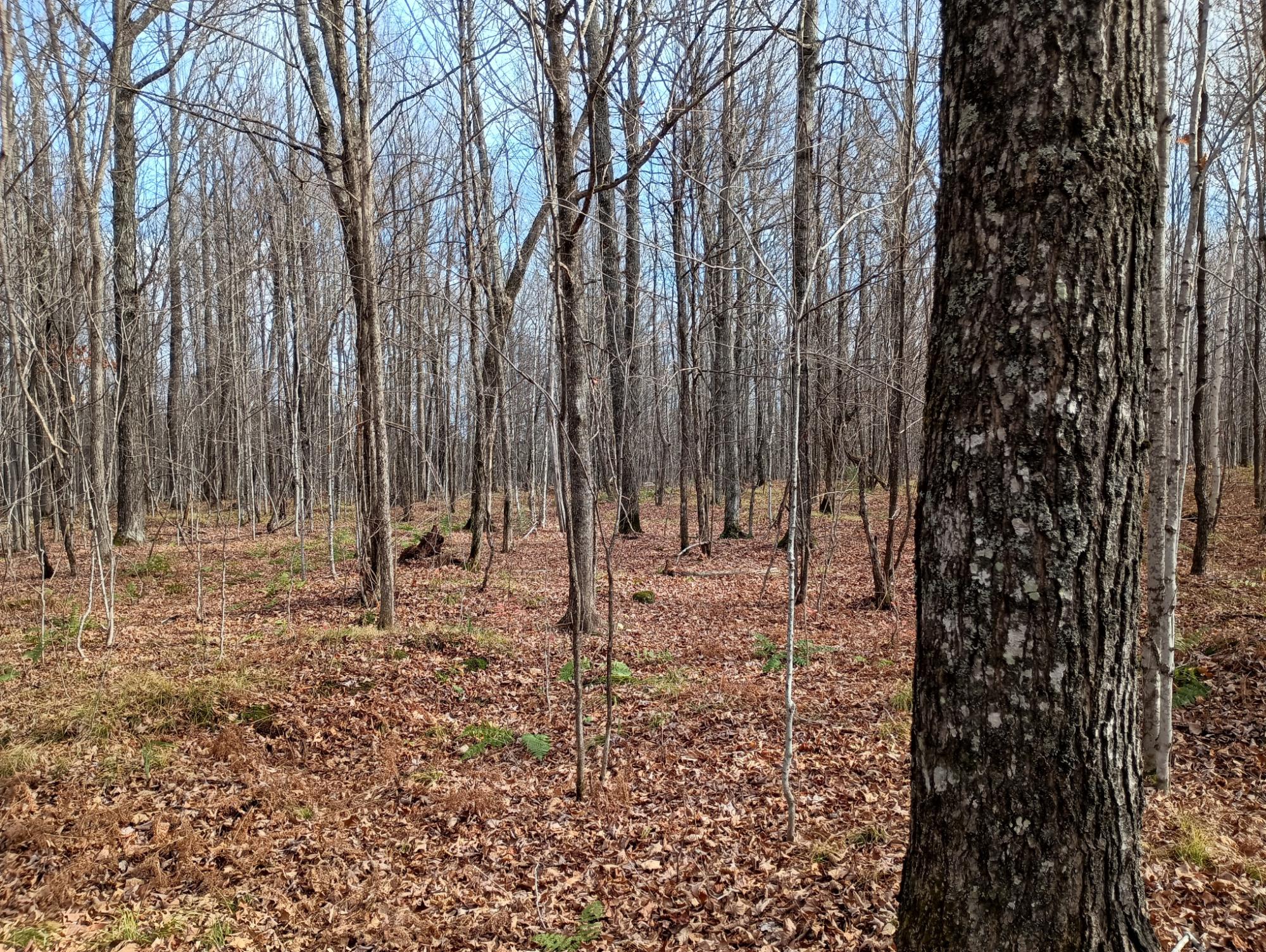 ON RIGHT OF WAY RD 20AC