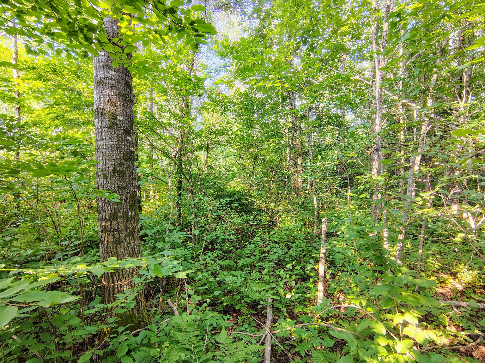 ON RIGHT OF WAY RD 20AC