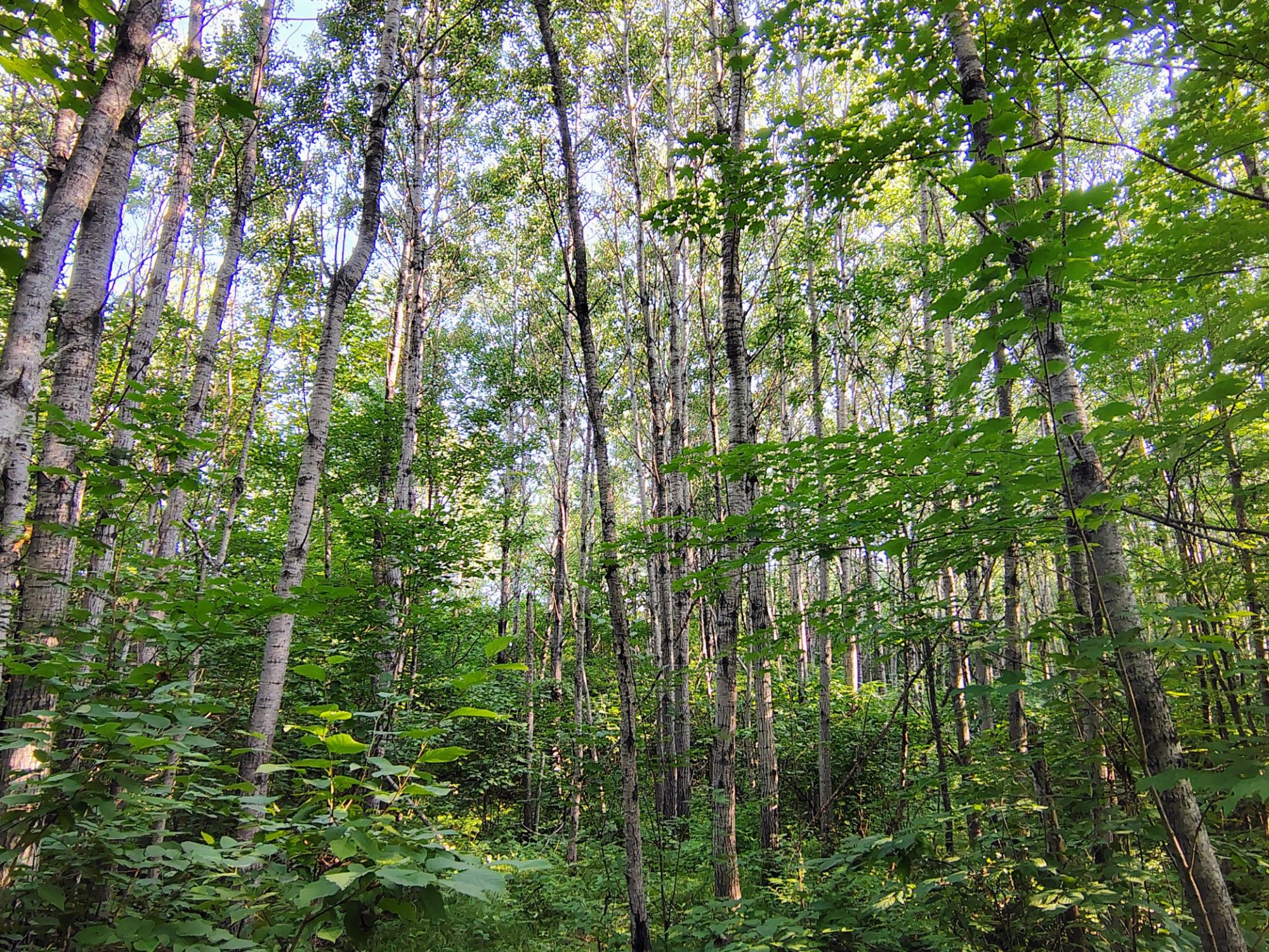 ON RIGHT OF WAY RD 20AC