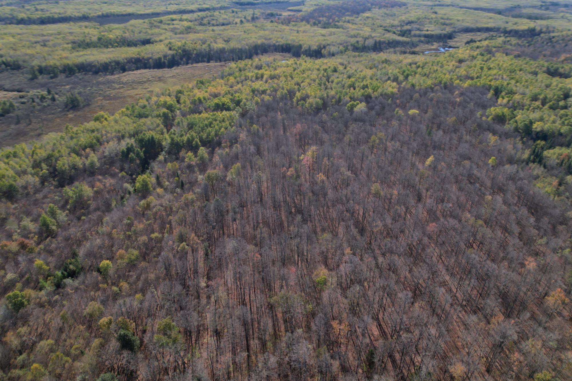 ON RIGHT OF WAY RD 20AC