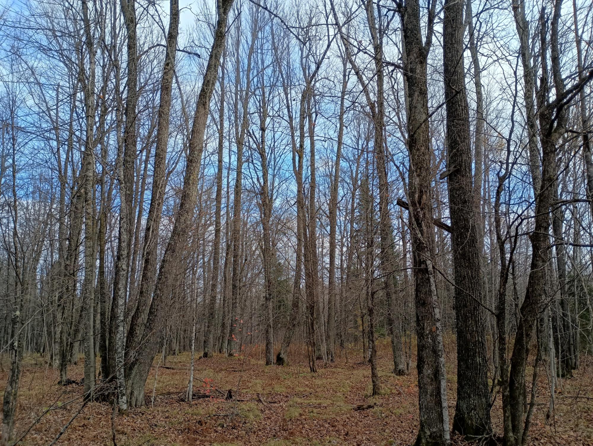ON RIGHT OF WAY RD 20AC