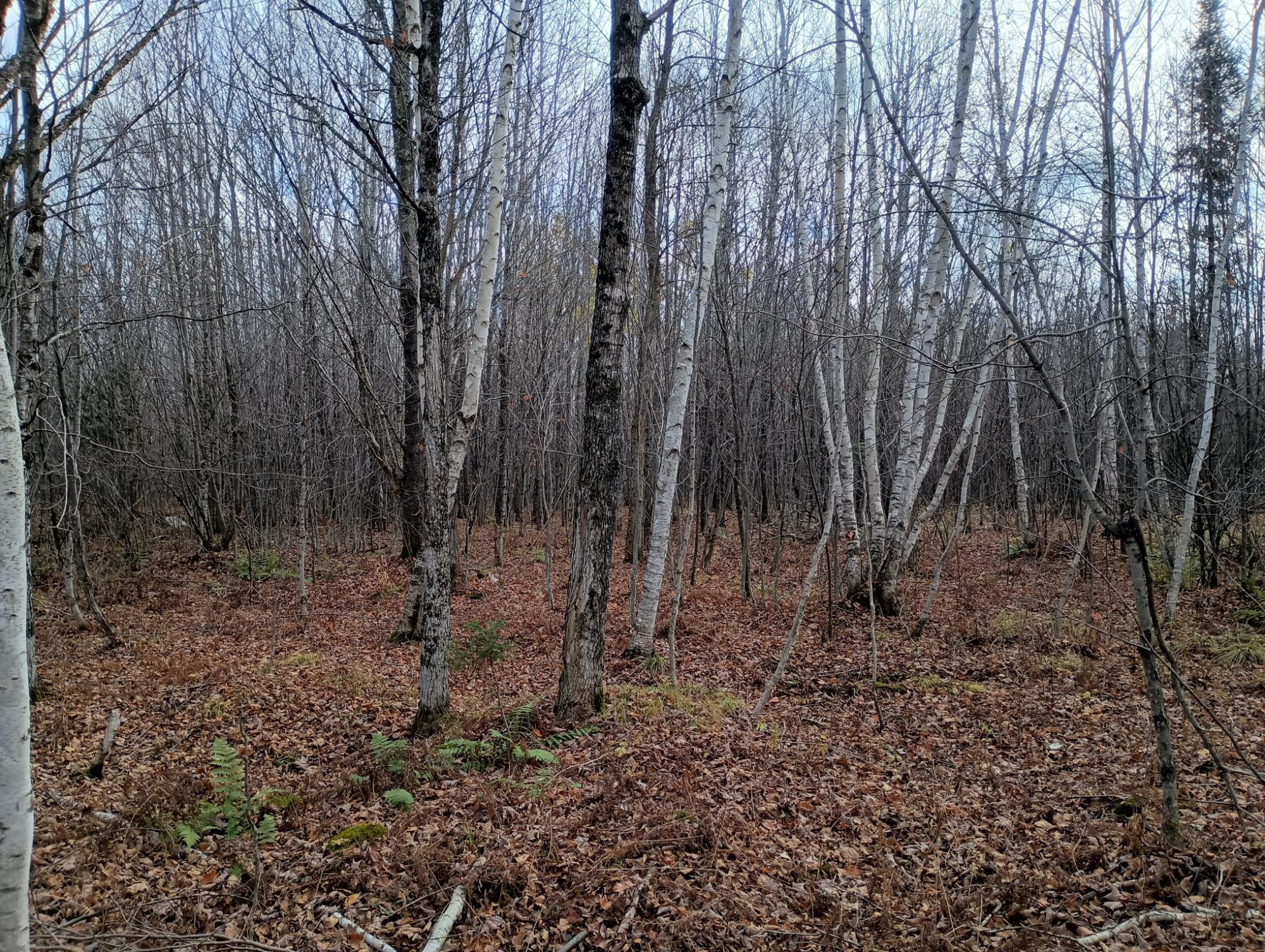 ON RIGHT OF WAY RD 20AC