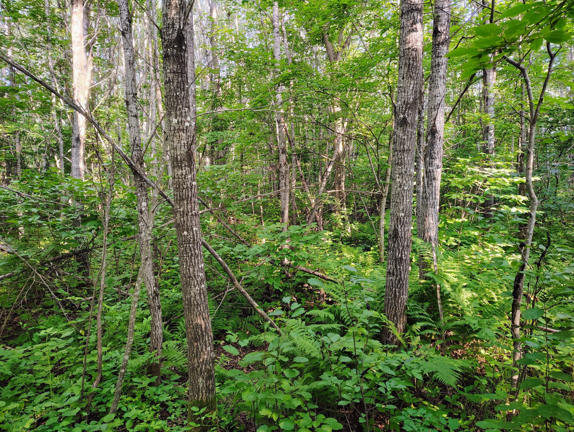 ON RIGHT OF WAY RD 20AC