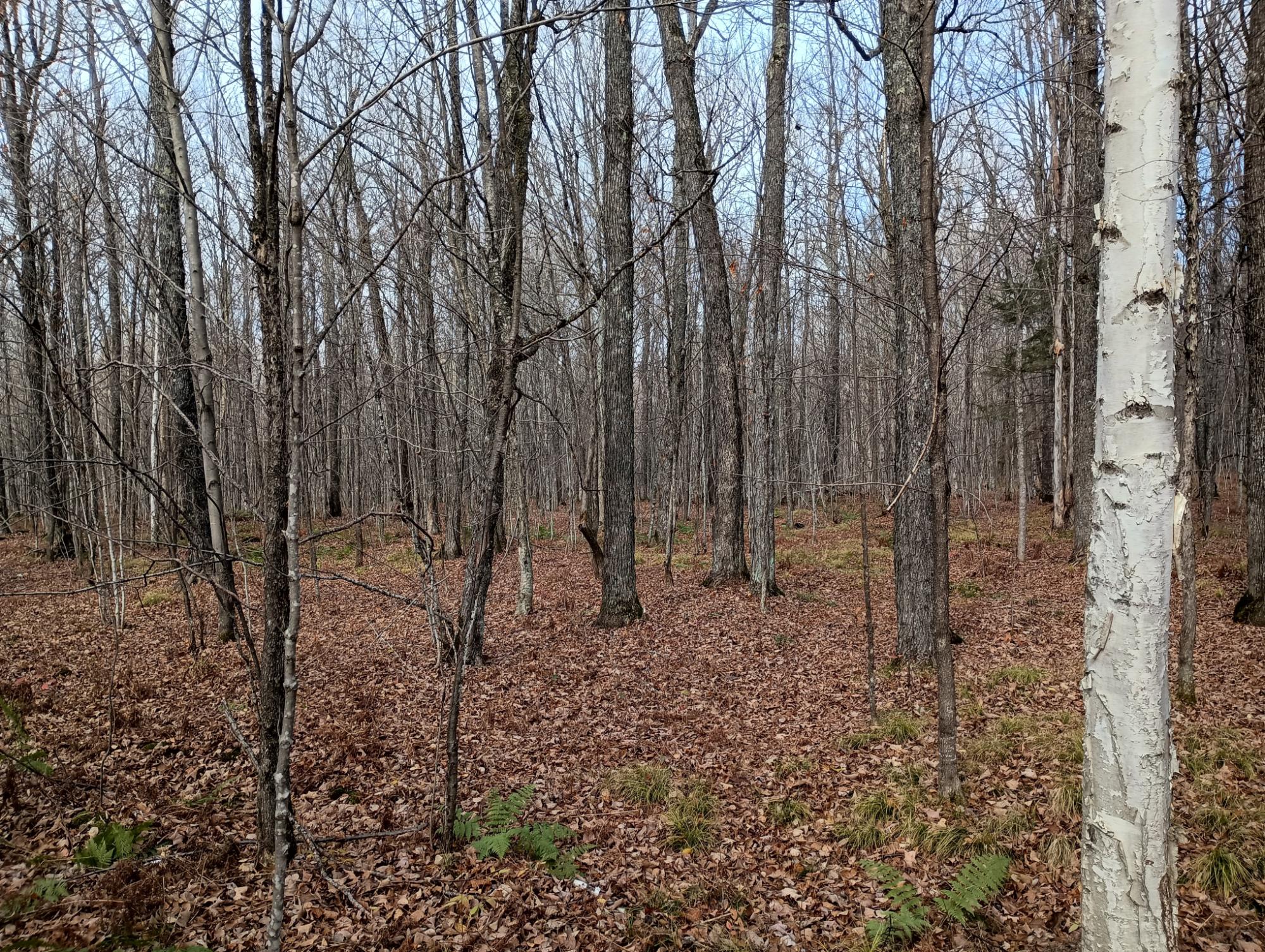 ON RIGHT OF WAY RD 20AC