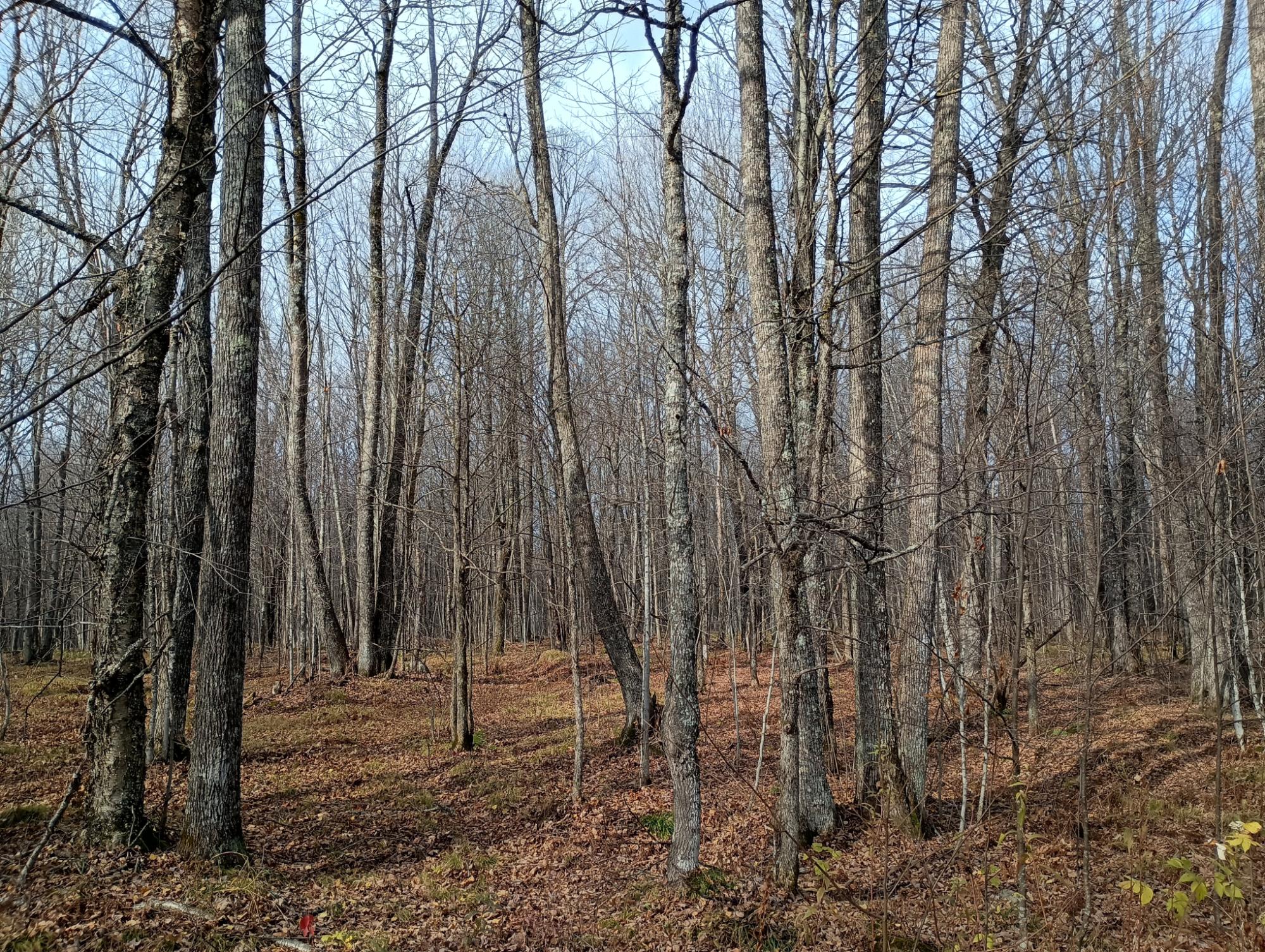 ON RIGHT OF WAY RD 20AC