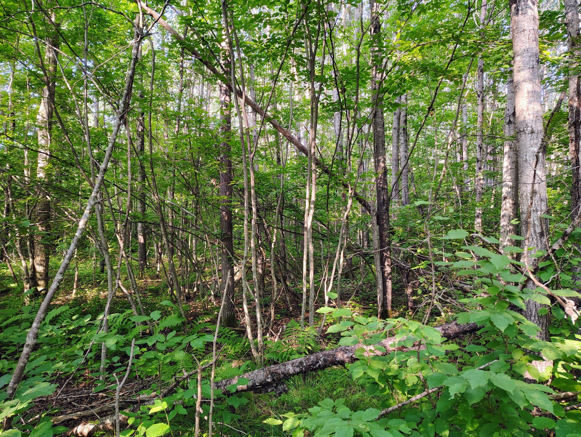 ON RIGHT OF WAY RD 20AC