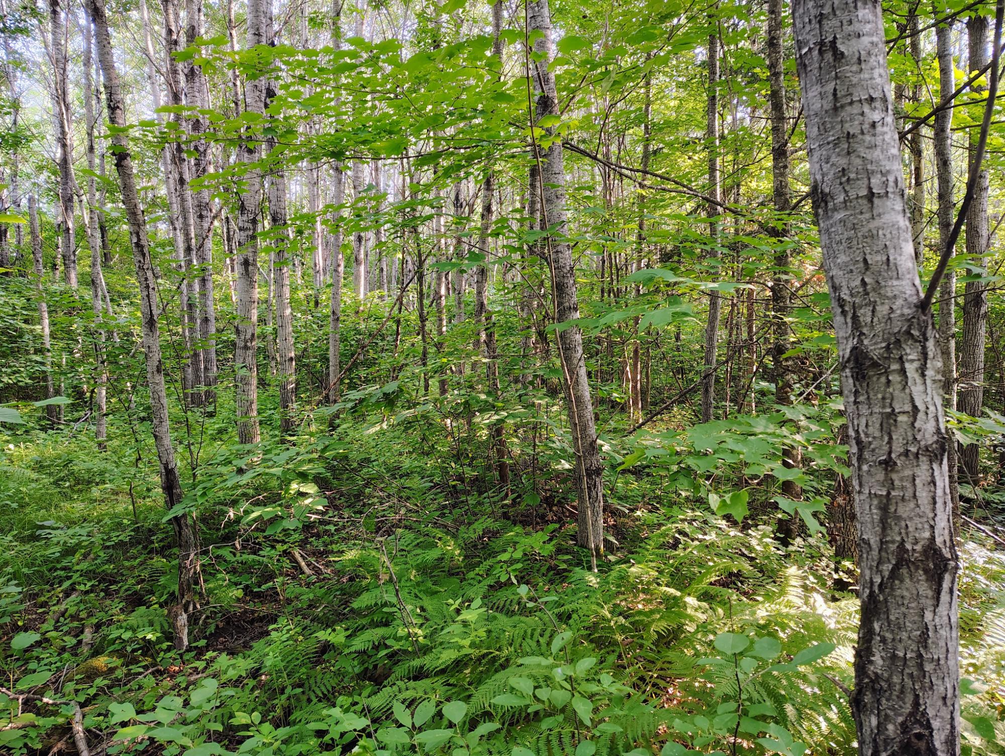 ON RIGHT OF WAY RD 20AC