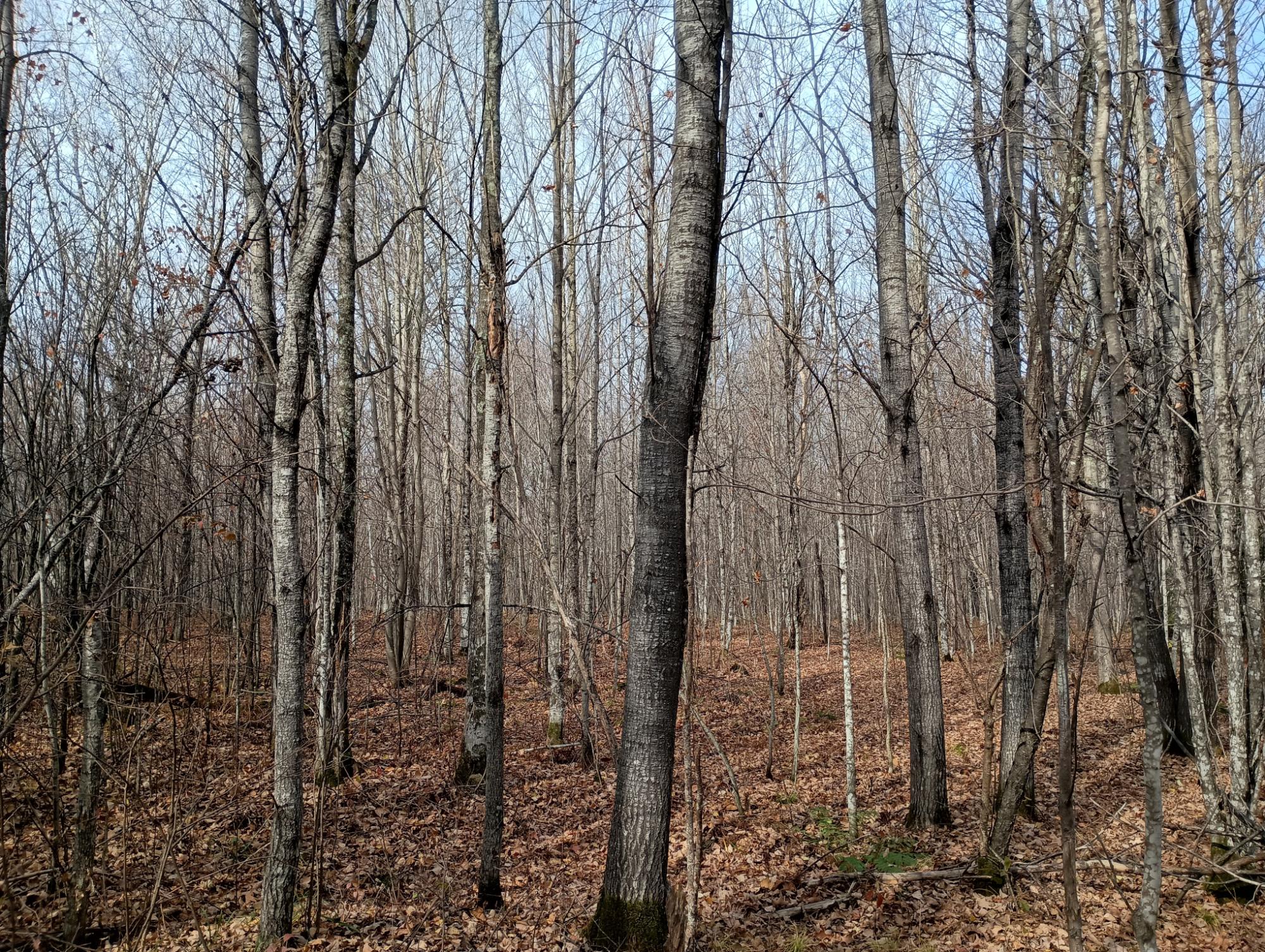 ON RIGHT OF WAY RD 20AC