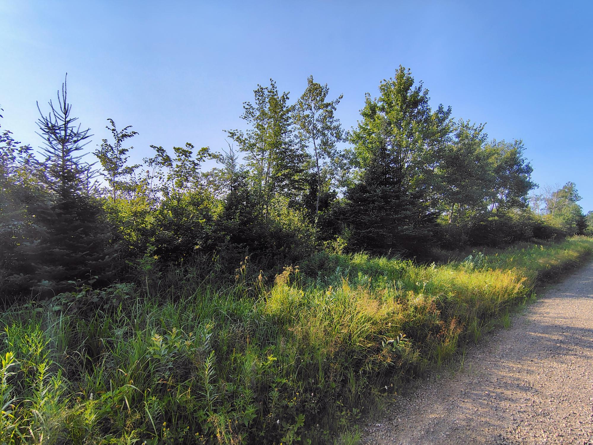 ON RIGHT OF WAY RD 12+/- AC