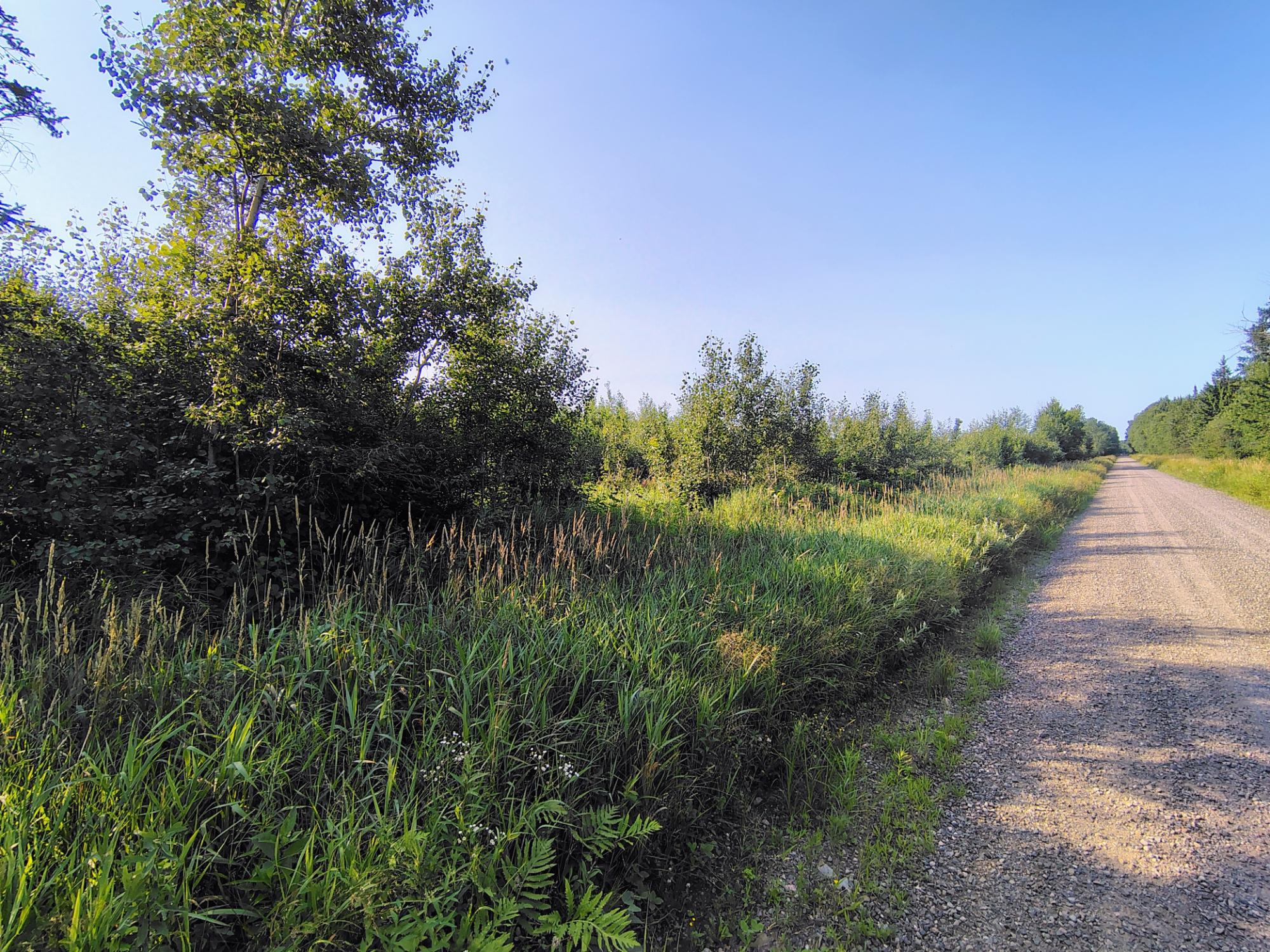 ON RIGHT OF WAY RD 12+/- AC