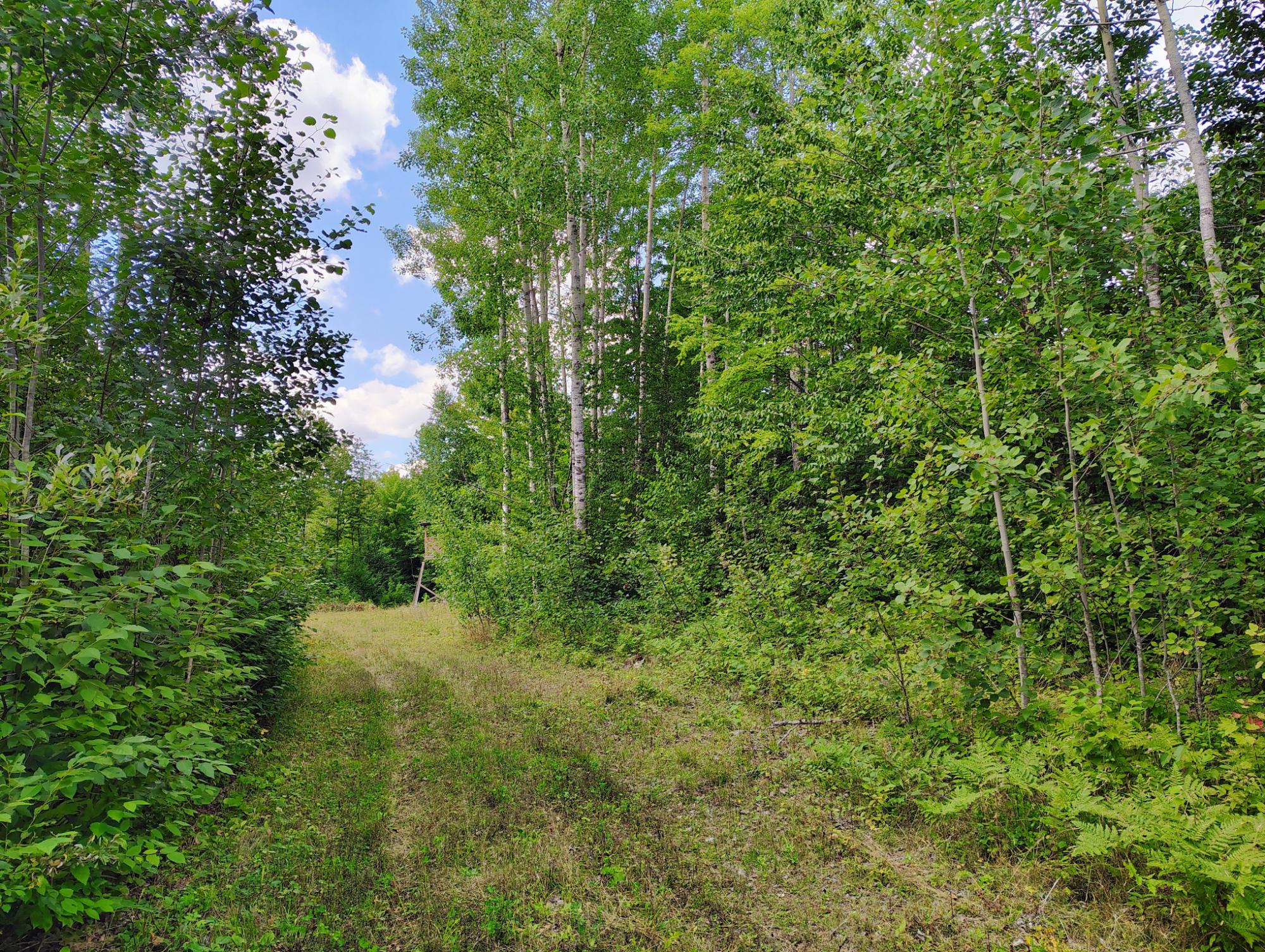 ON LONG LAKE RD 159.93 ac