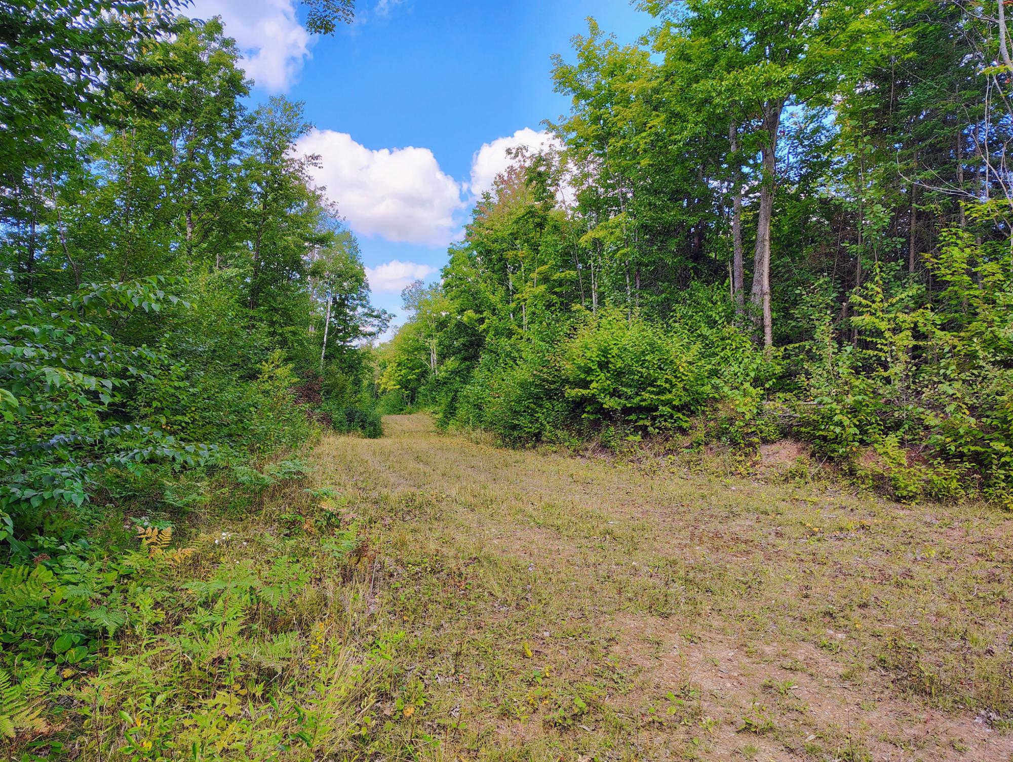 ON LONG LAKE RD 159.93 ac
