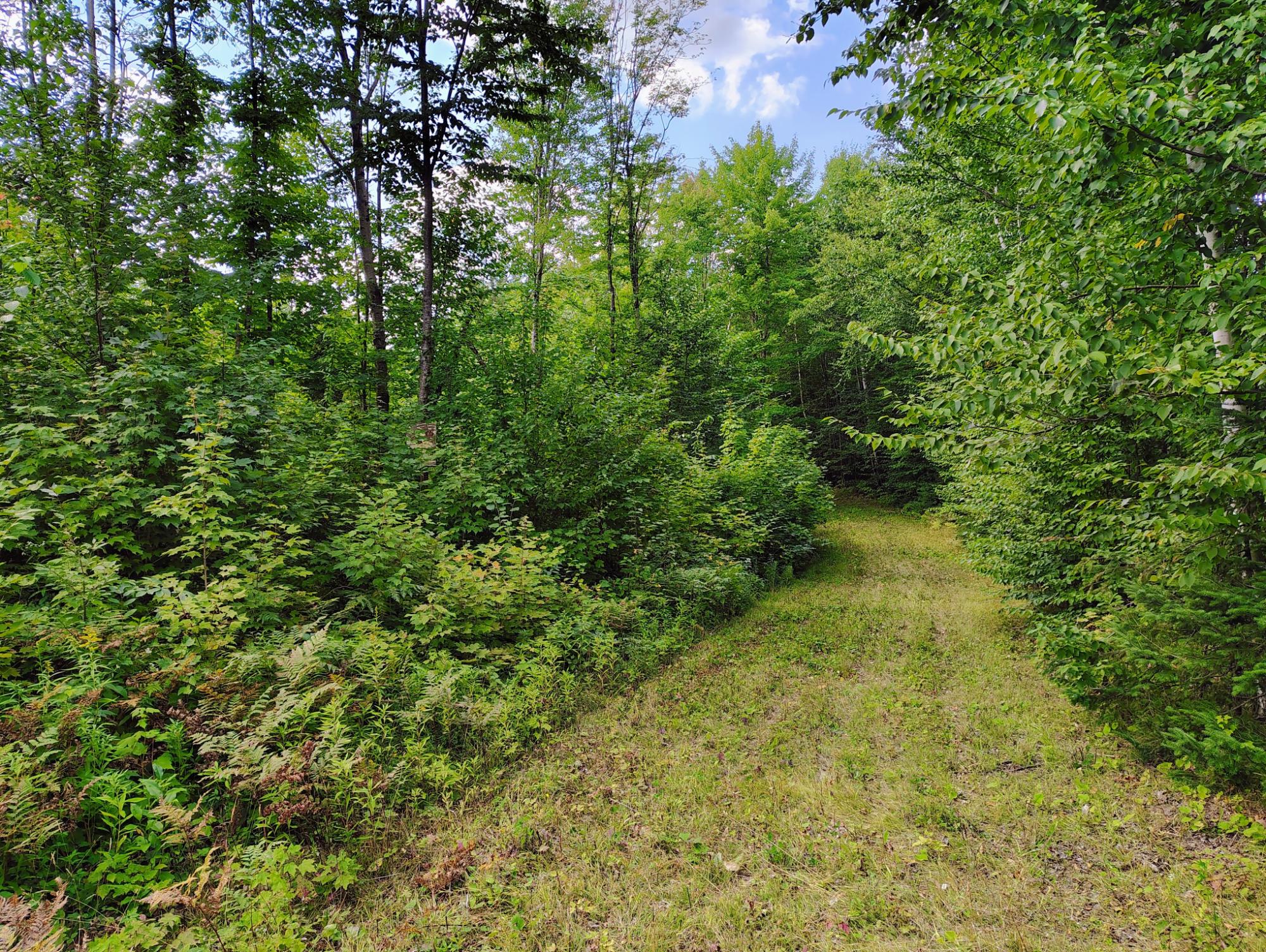 ON LONG LAKE RD 159.93 ac