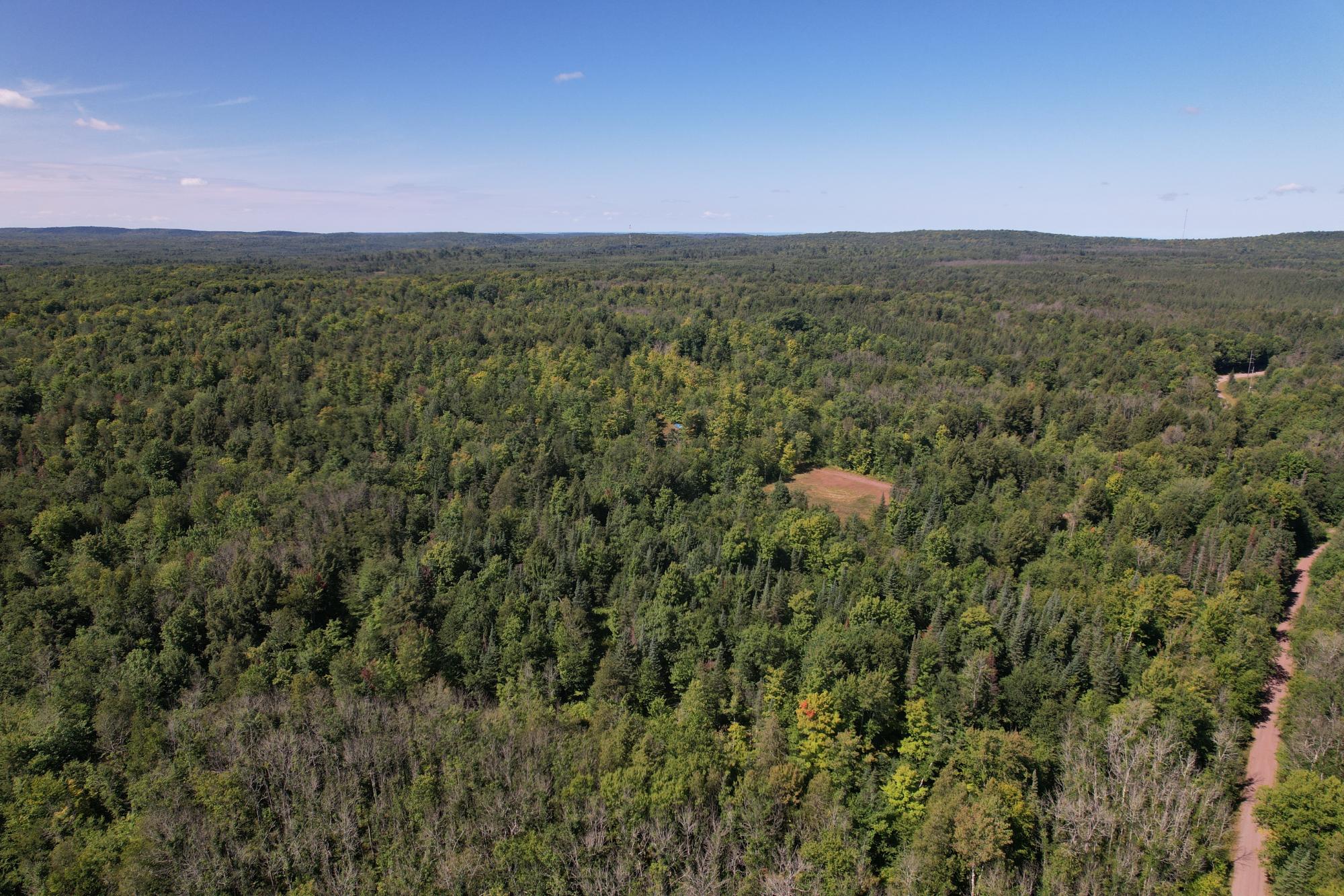 ON LONG LAKE RD 159.93 ac