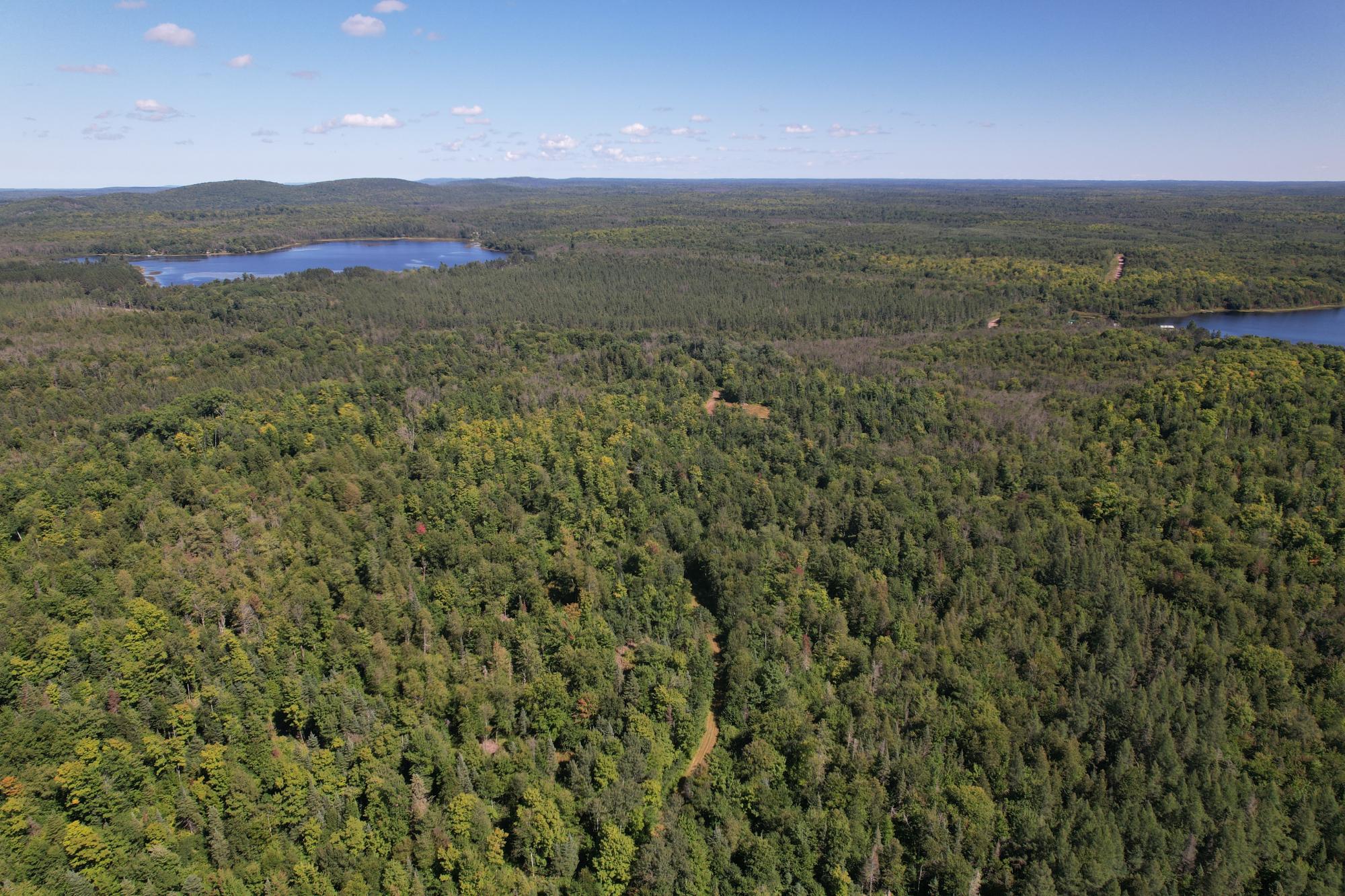 ON LONG LAKE RD 159.93 ac