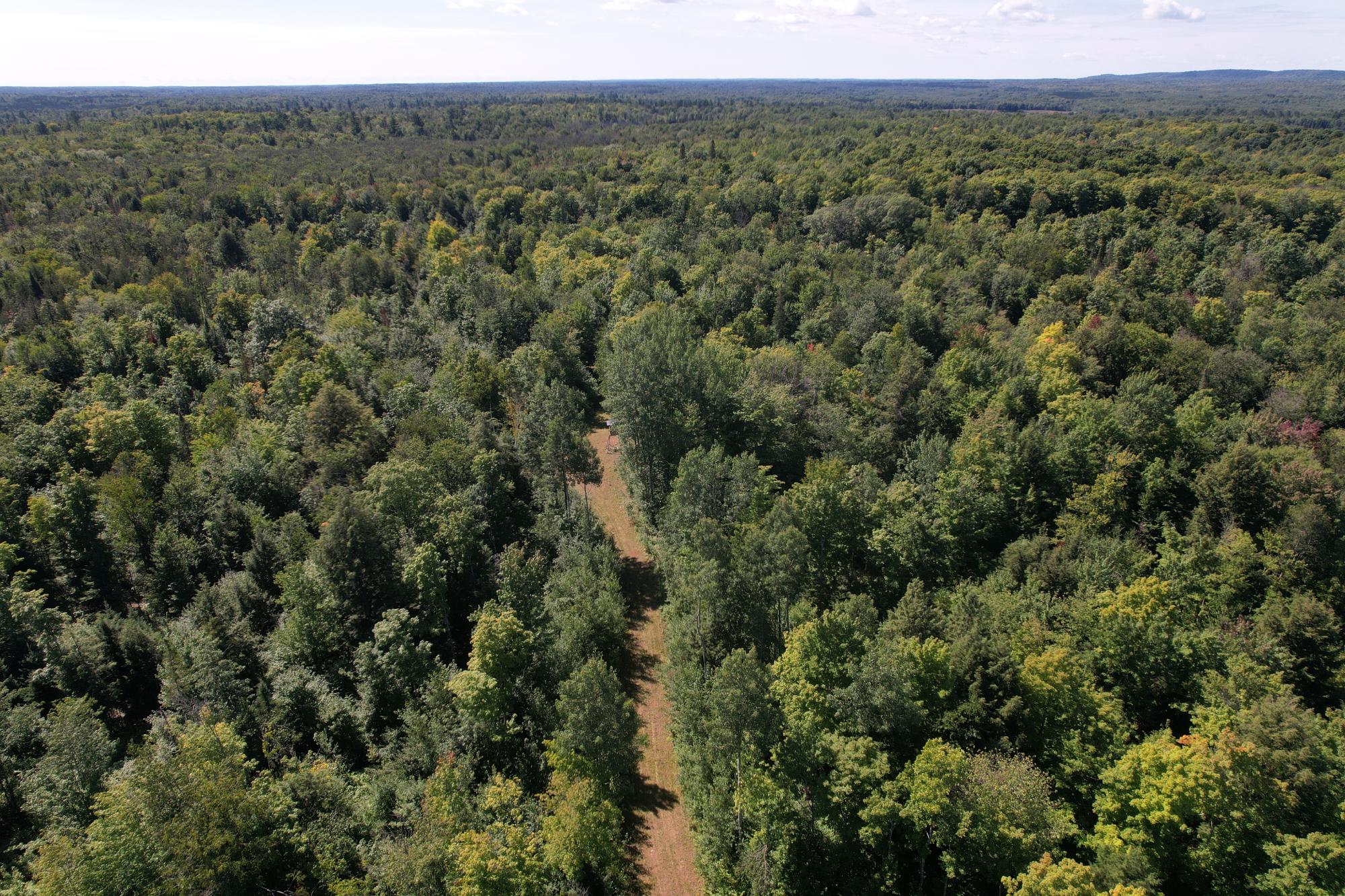 ON LONG LAKE RD 159.93 ac