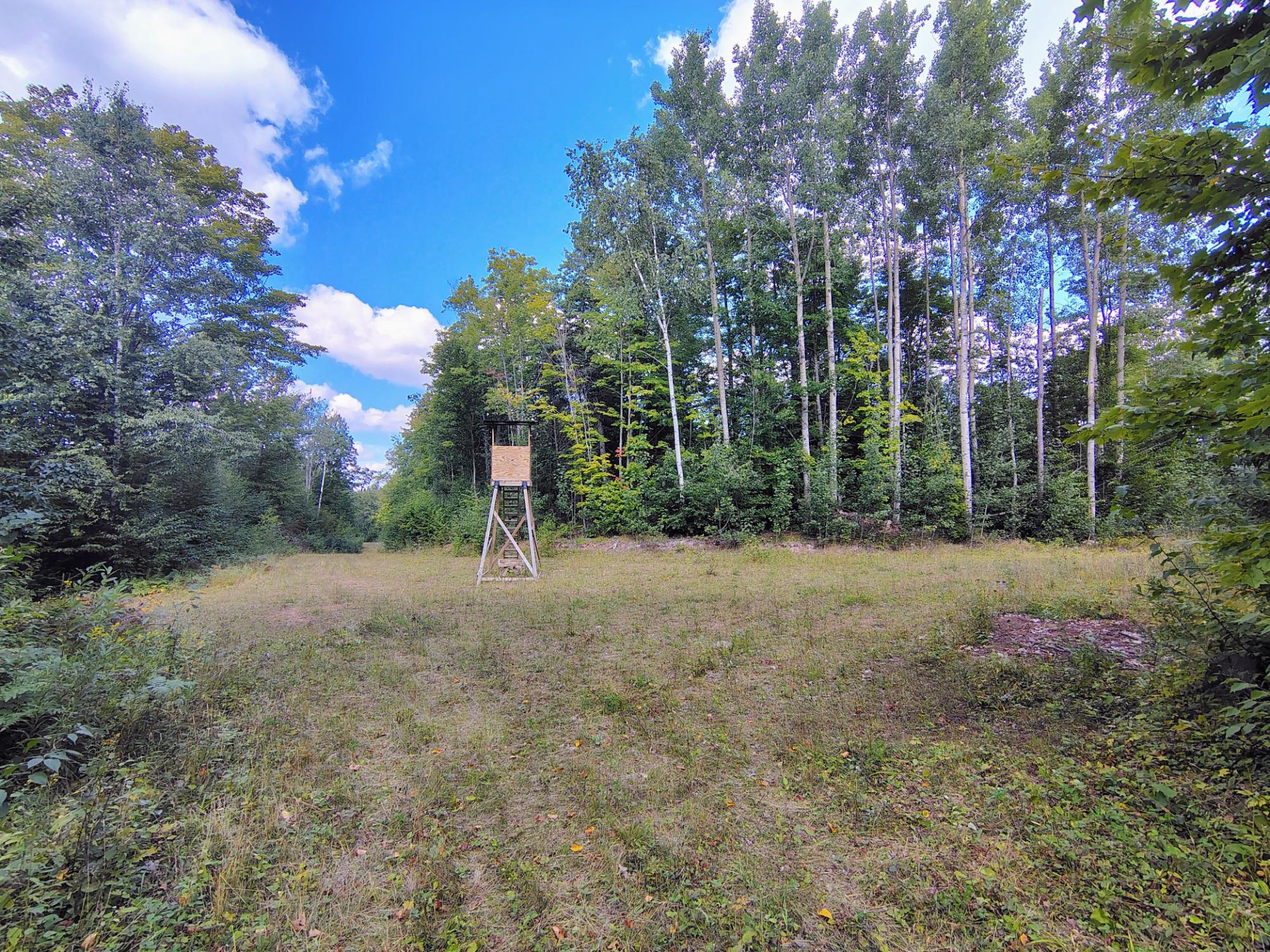 ON LONG LAKE RD 159.93 ac