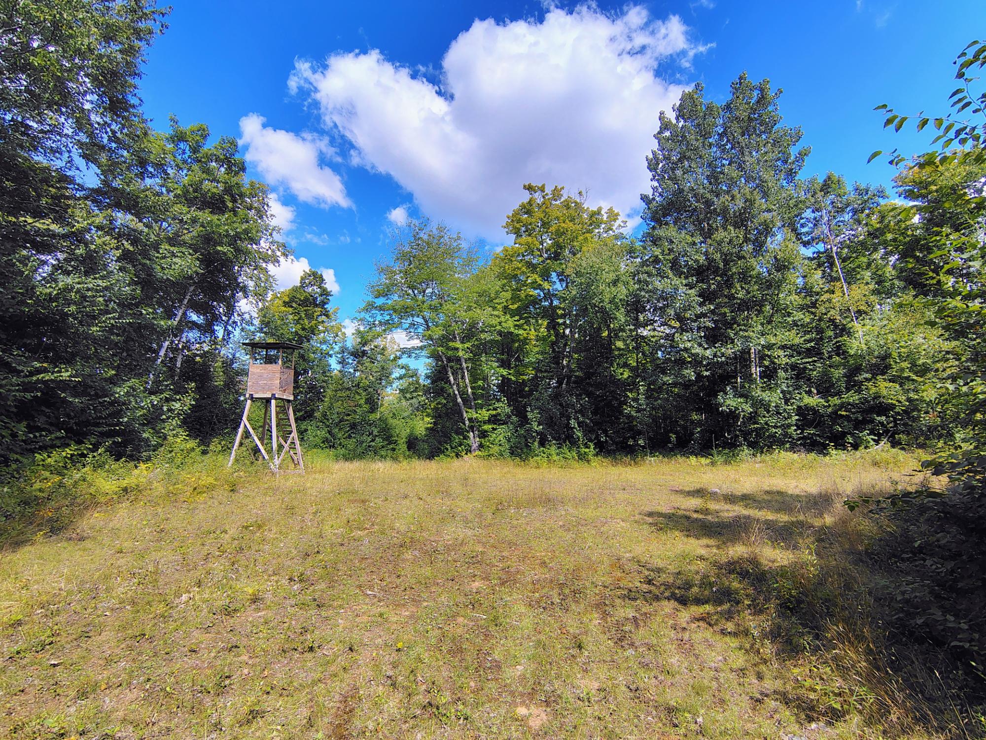 ON LONG LAKE RD 159.93 ac