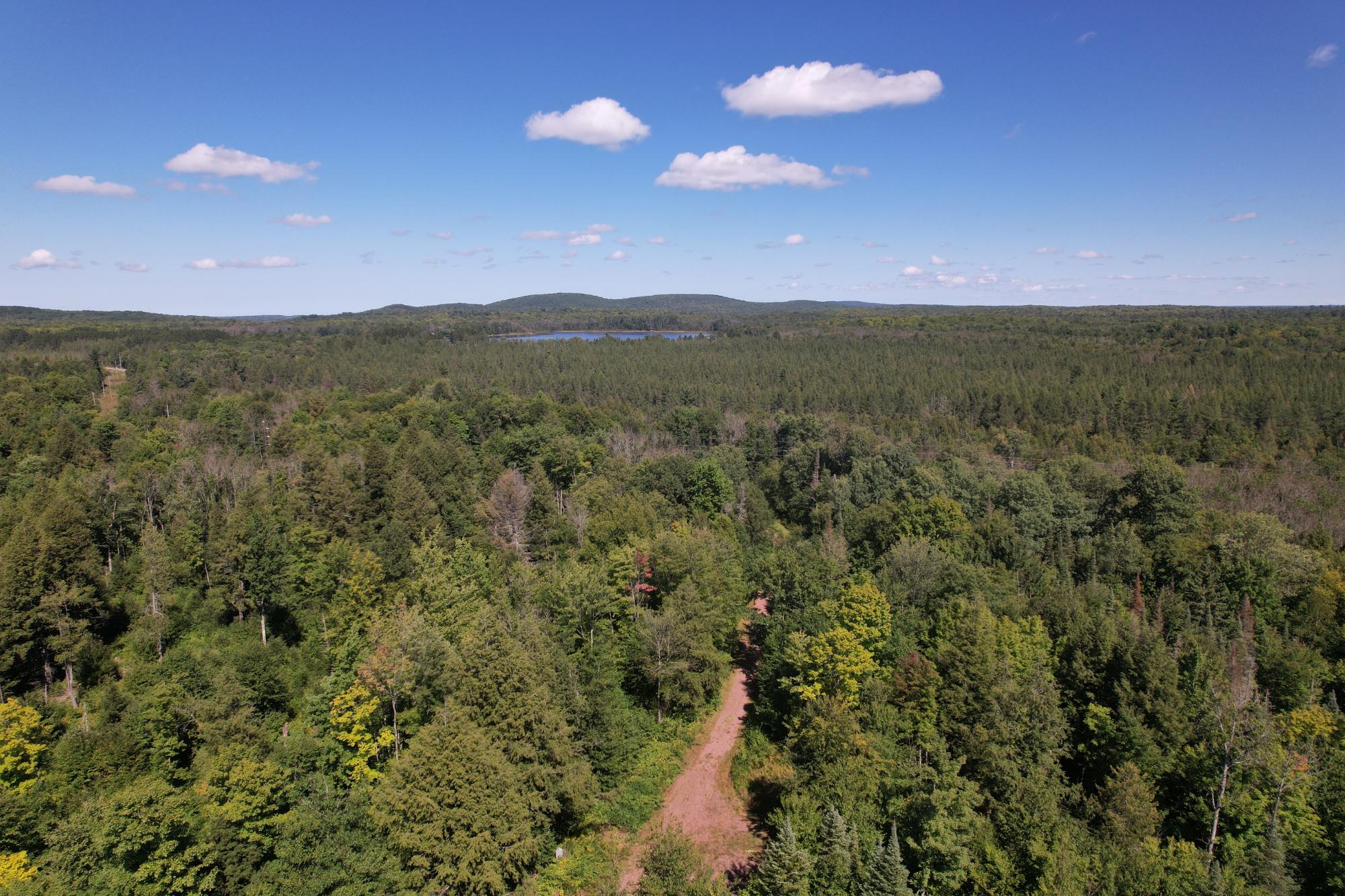 ON LONG LAKE RD 159.93 ac