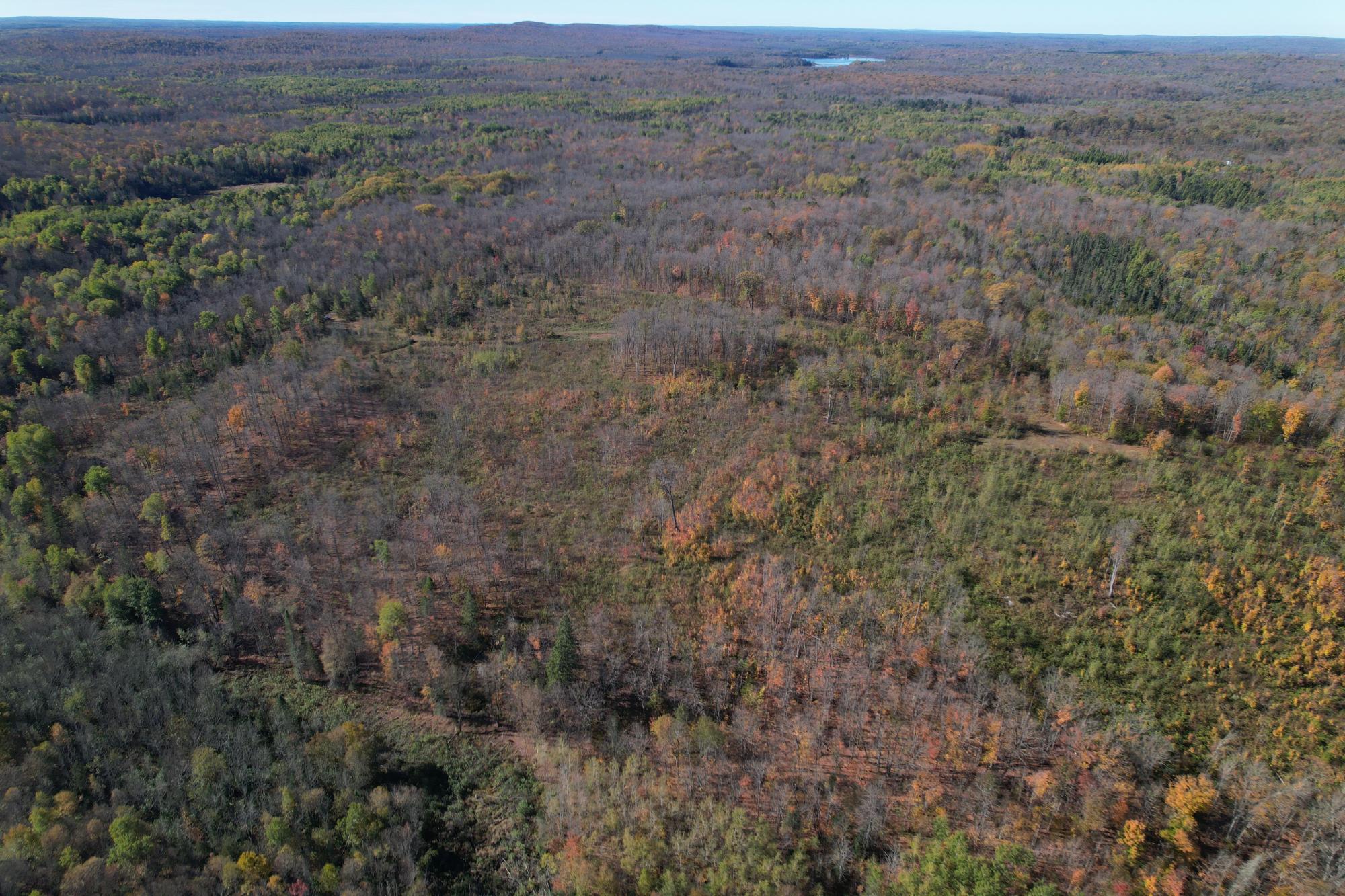 ON KORNSTEAD RD 80 ac