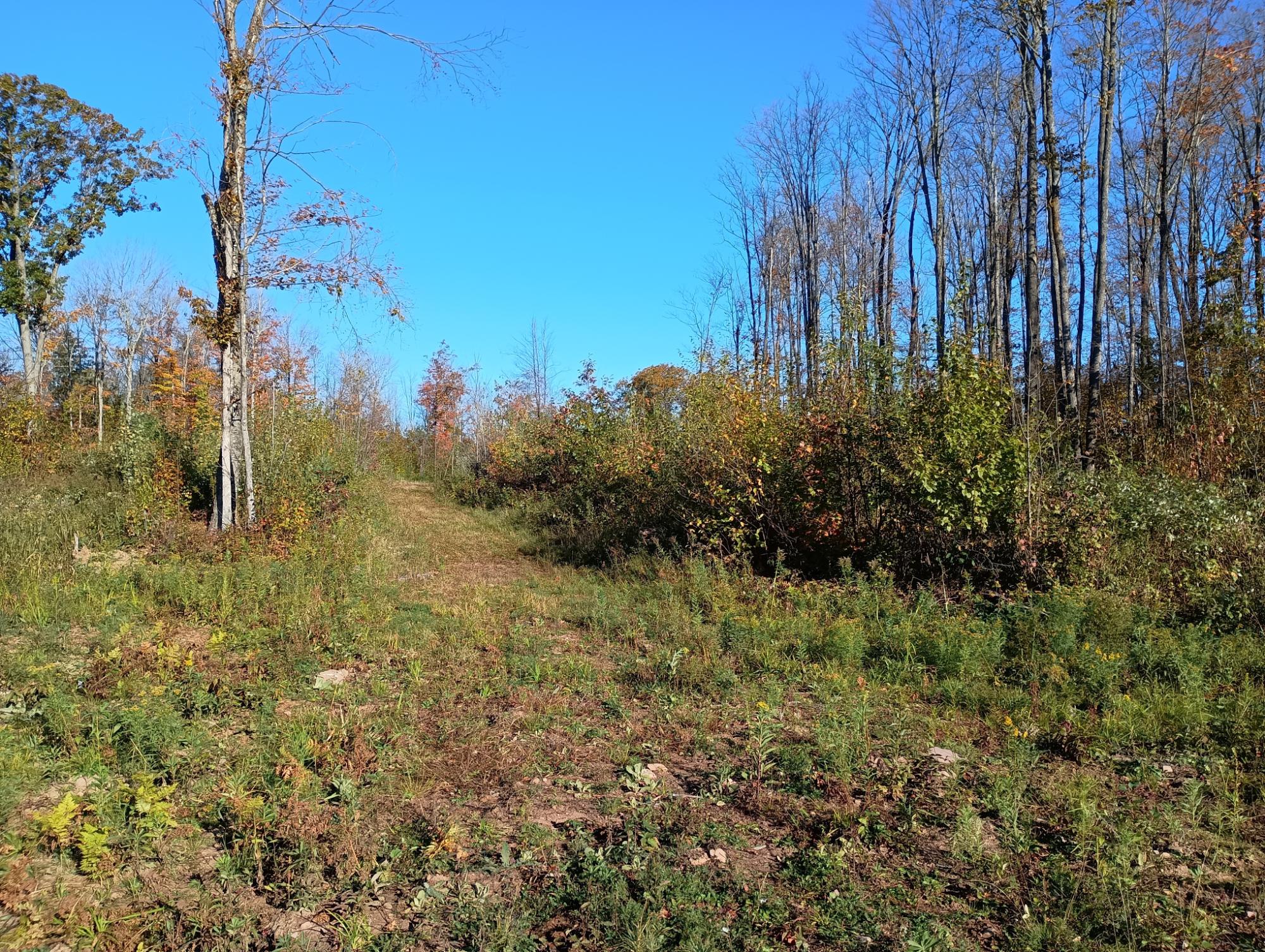 ON KORNSTEAD RD 80 ac