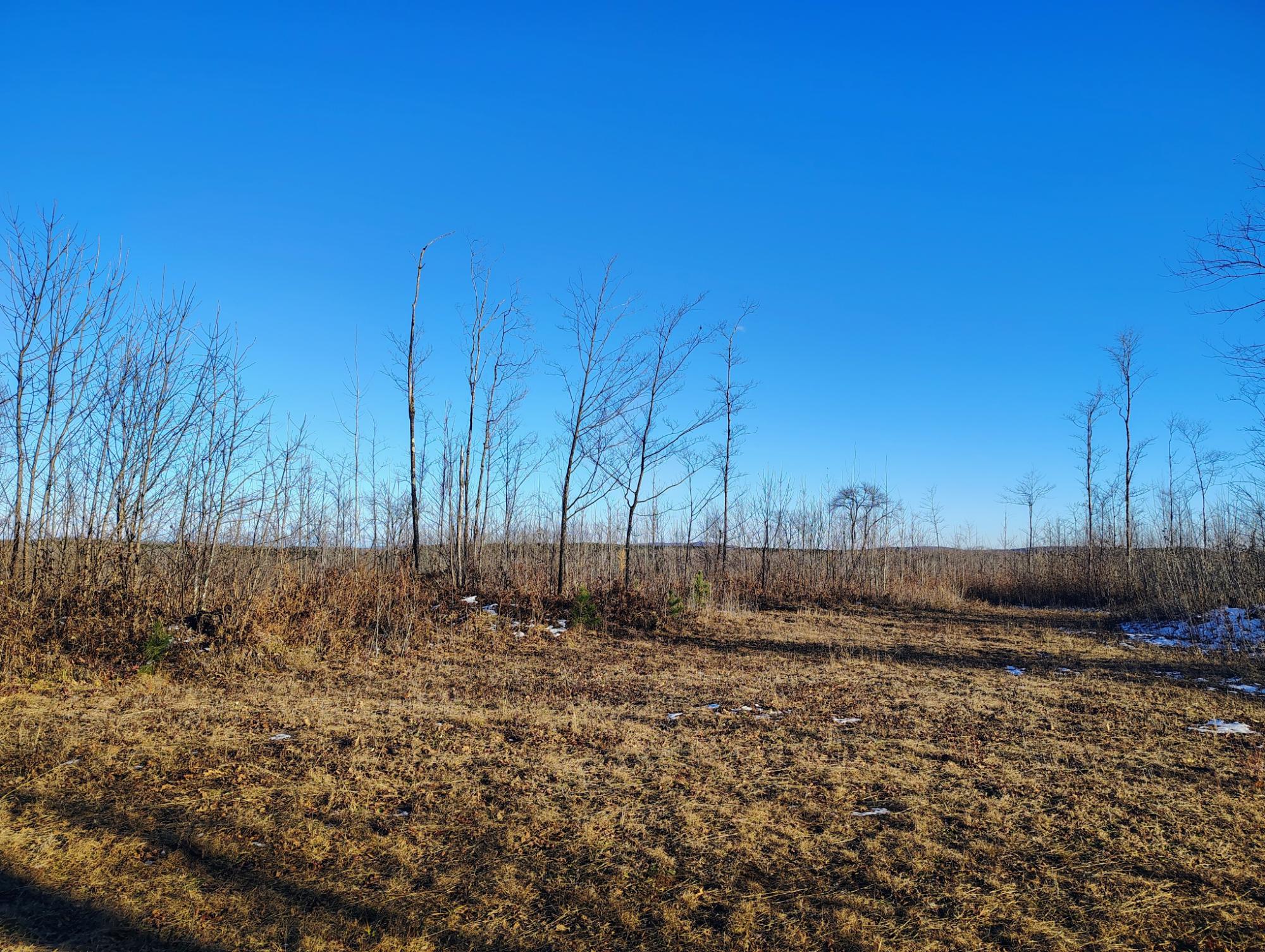 ON KORNSTEAD RD 80 ac